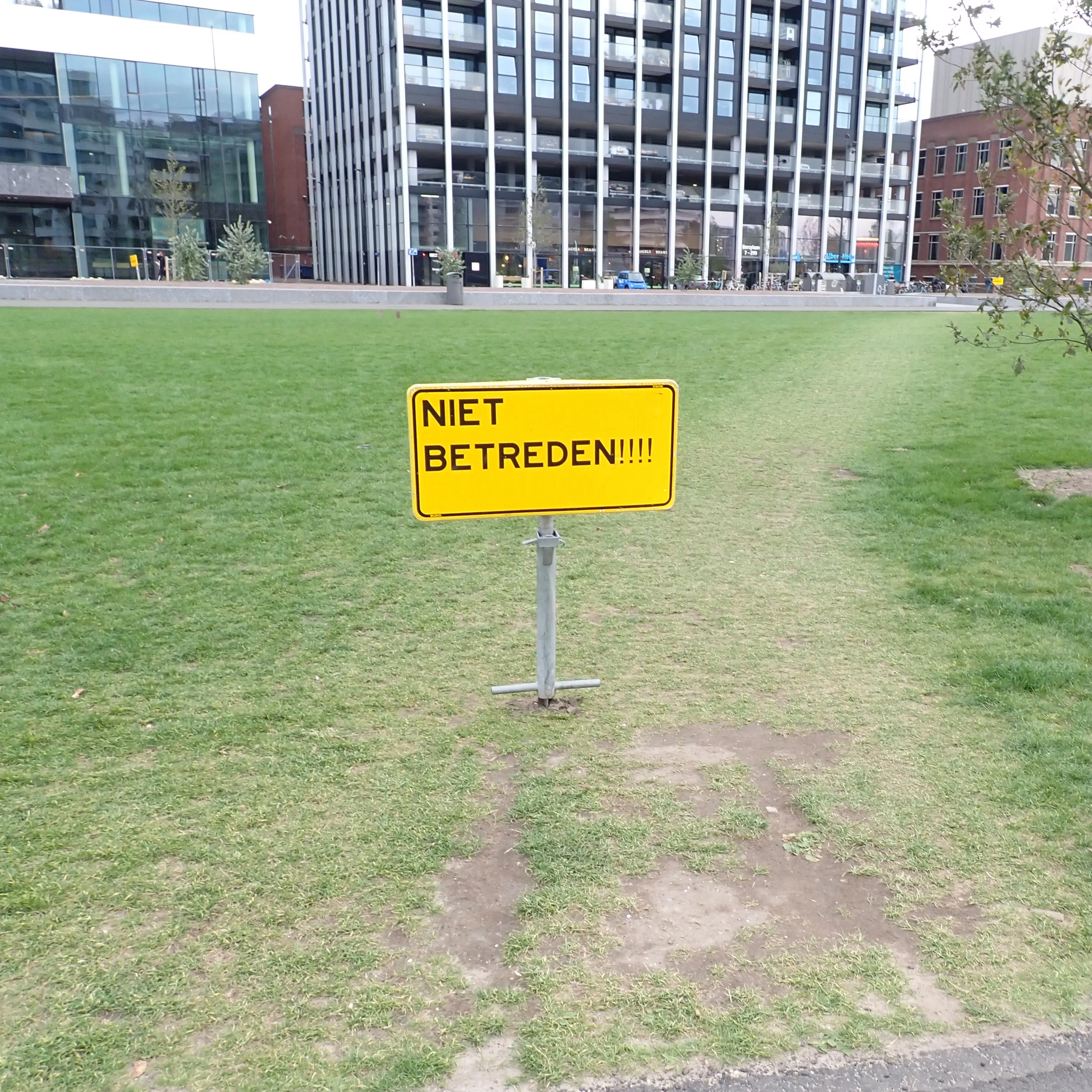 2025-09-26_16.04.15_41.JPG (3000x3000)