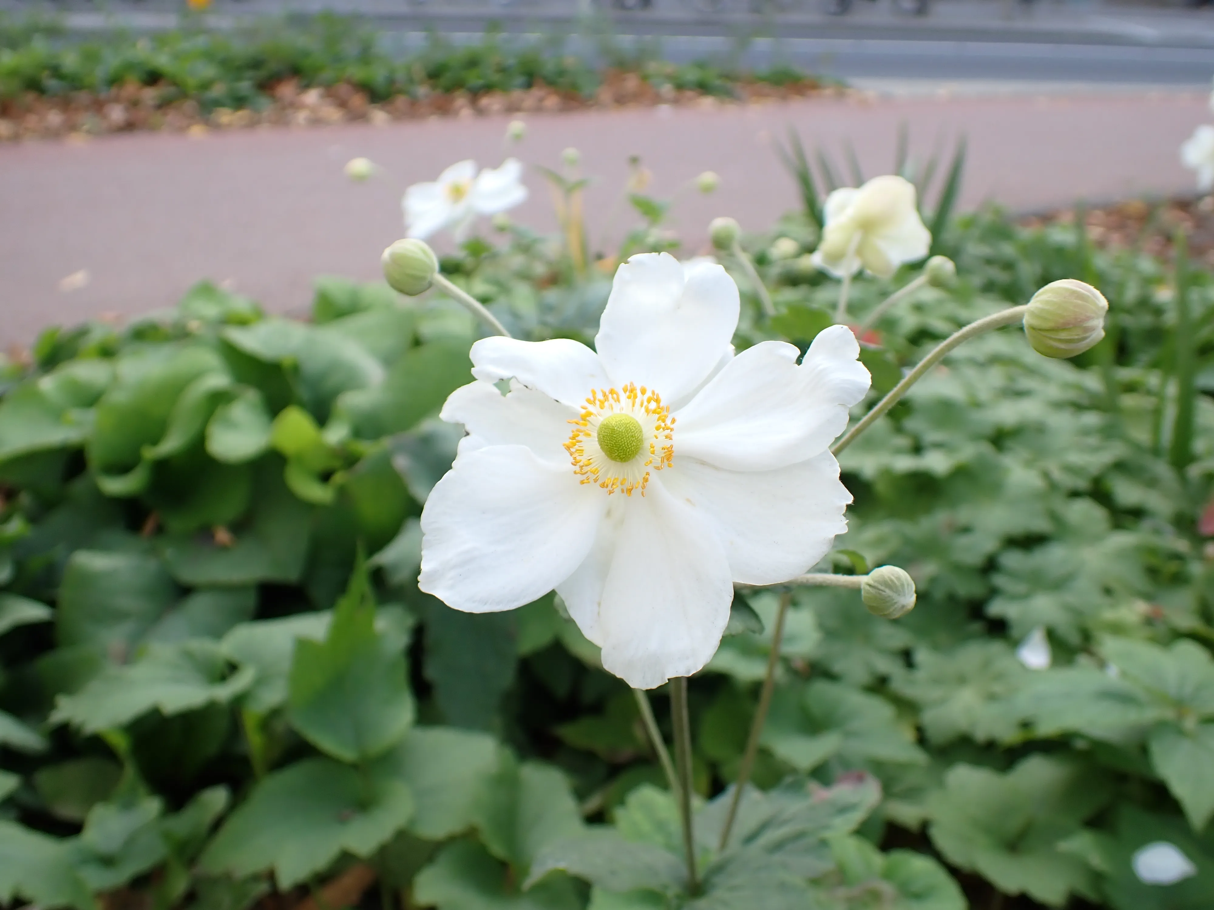 2025-09-28_15.49.19_17.JPG (4000x3000)