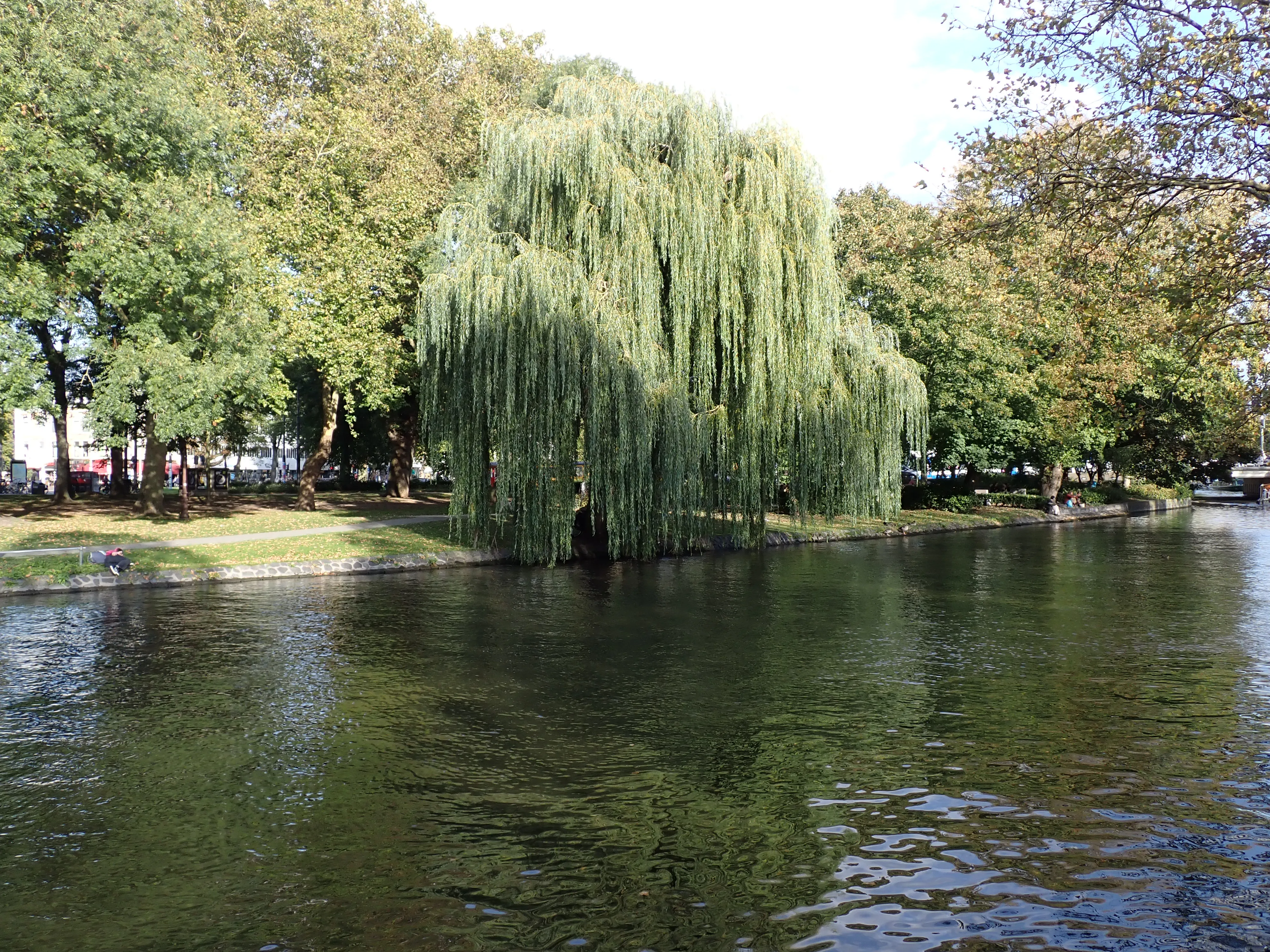 2025-09-28_15.52.14_21.JPG (4000x3000)