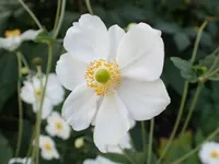 Photo from log "2025-09-28 (9 photos)"