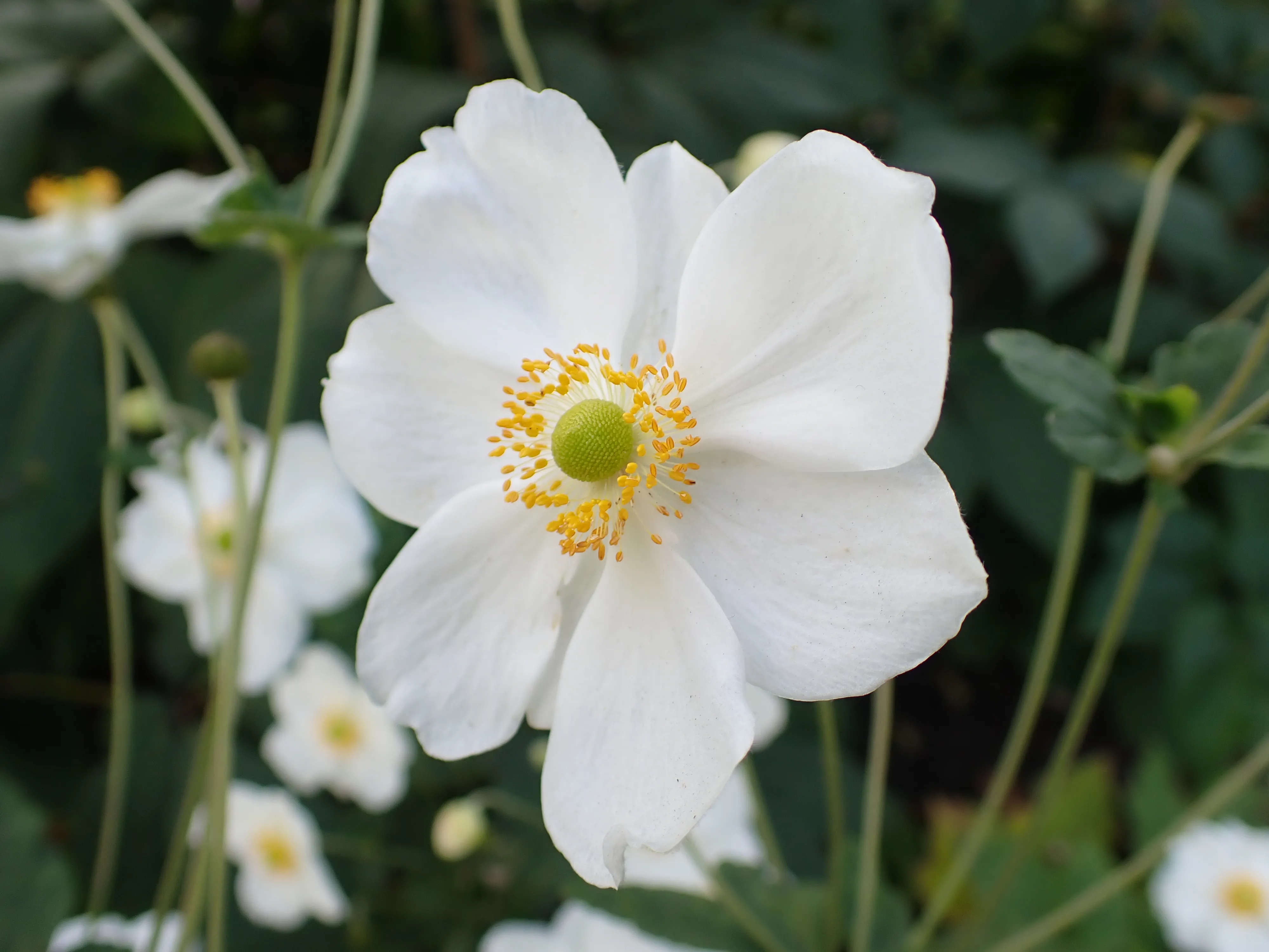 2025-09-28_15.56.59_28.JPG (4000x3000)