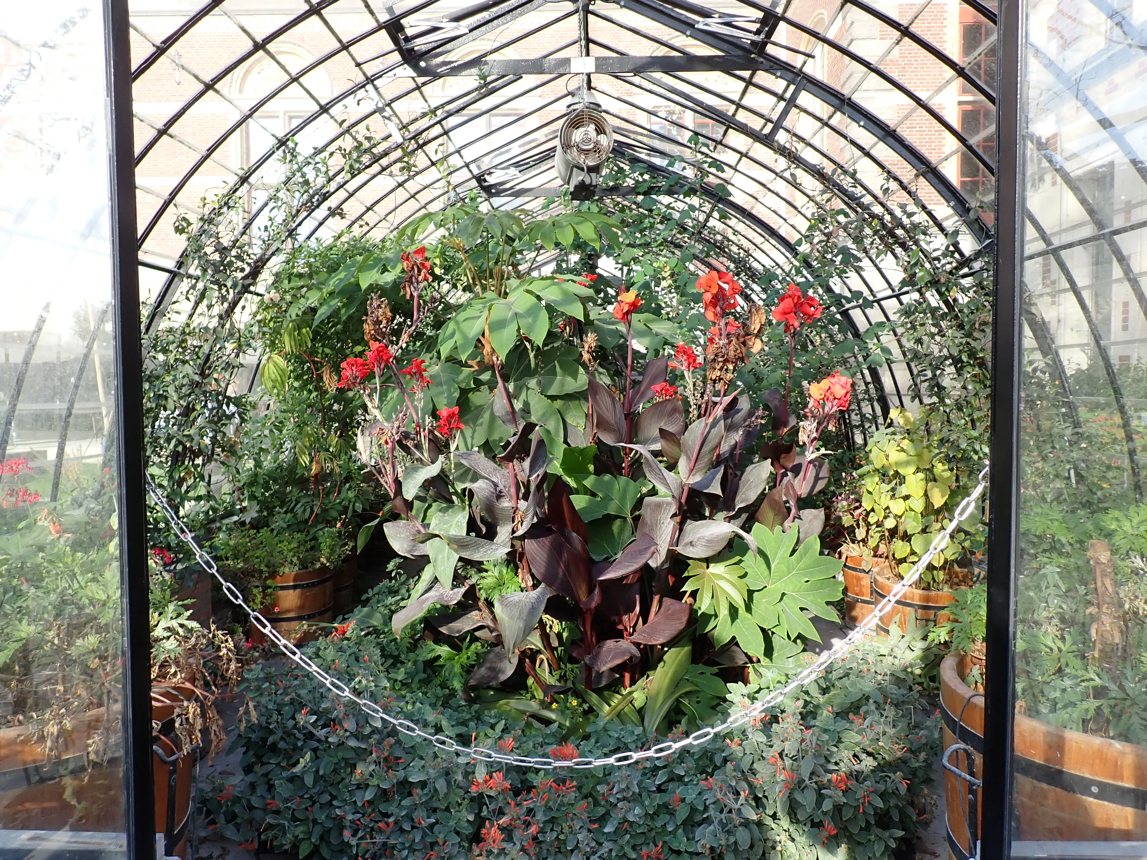 2025-09-28_16.06.08_32.JPG (4000x3000)