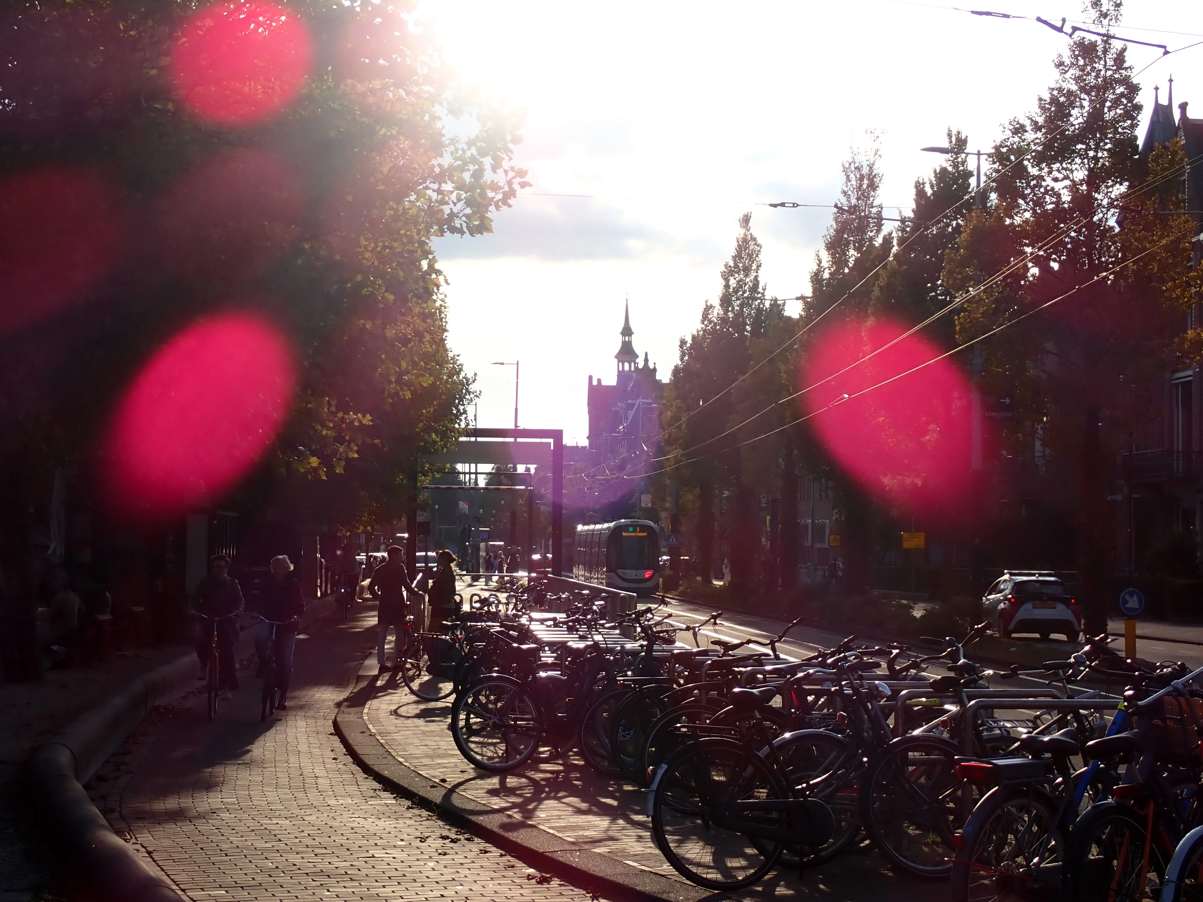 2025-09-28 (9 photos)