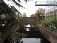 Photo from log "Hortus Botanicus Leiden (27 photos)"