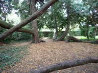 Photo from log "Hortus Botanicus Leiden (27 photos)"