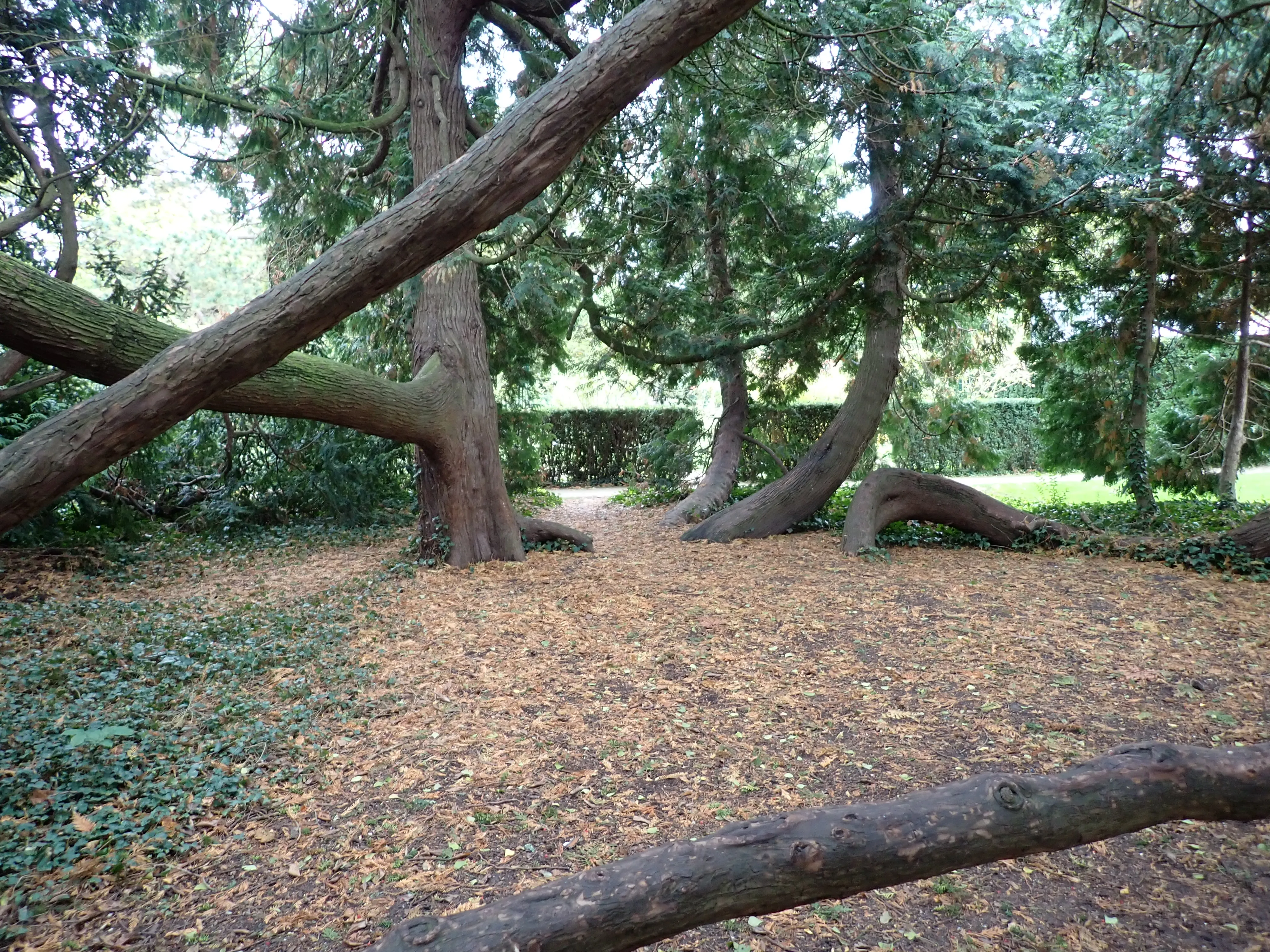 2025-10-10_14.40.24_209.JPG (4000x3000)