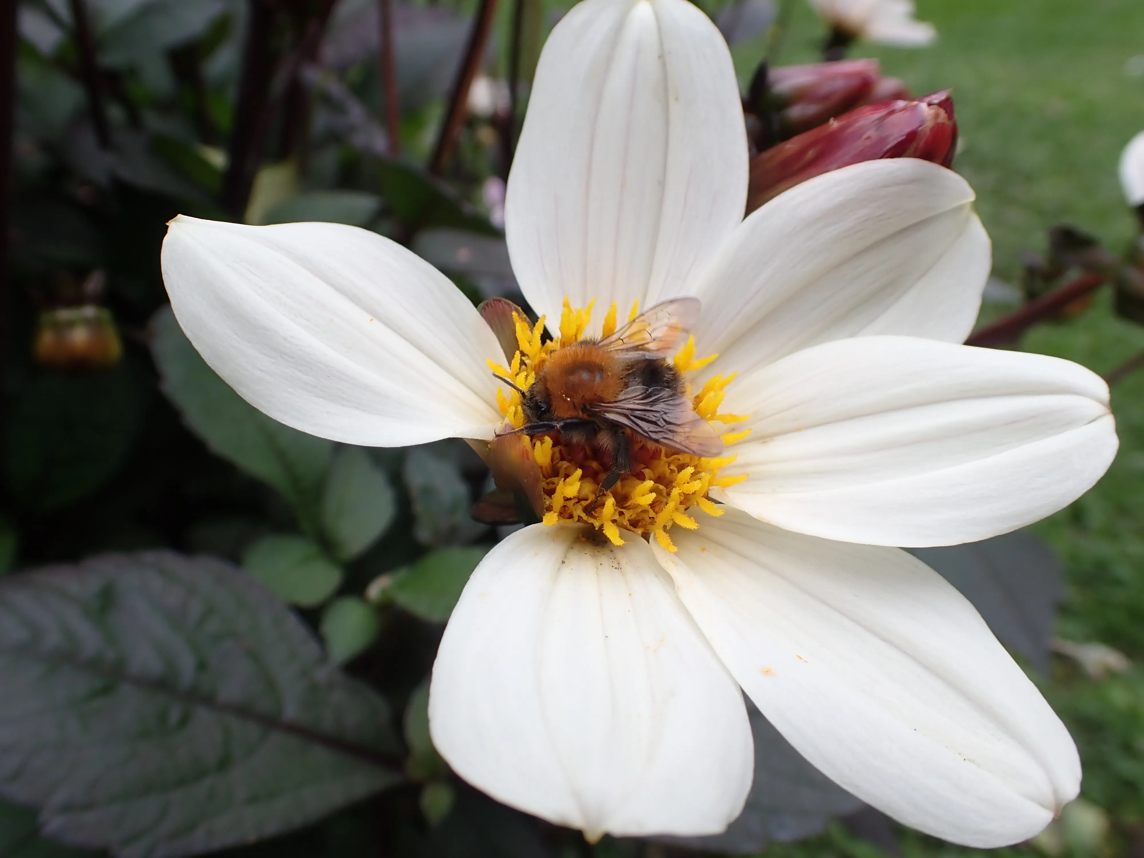 2025-10-10_14.50.06_215.JPG (4000x3000)