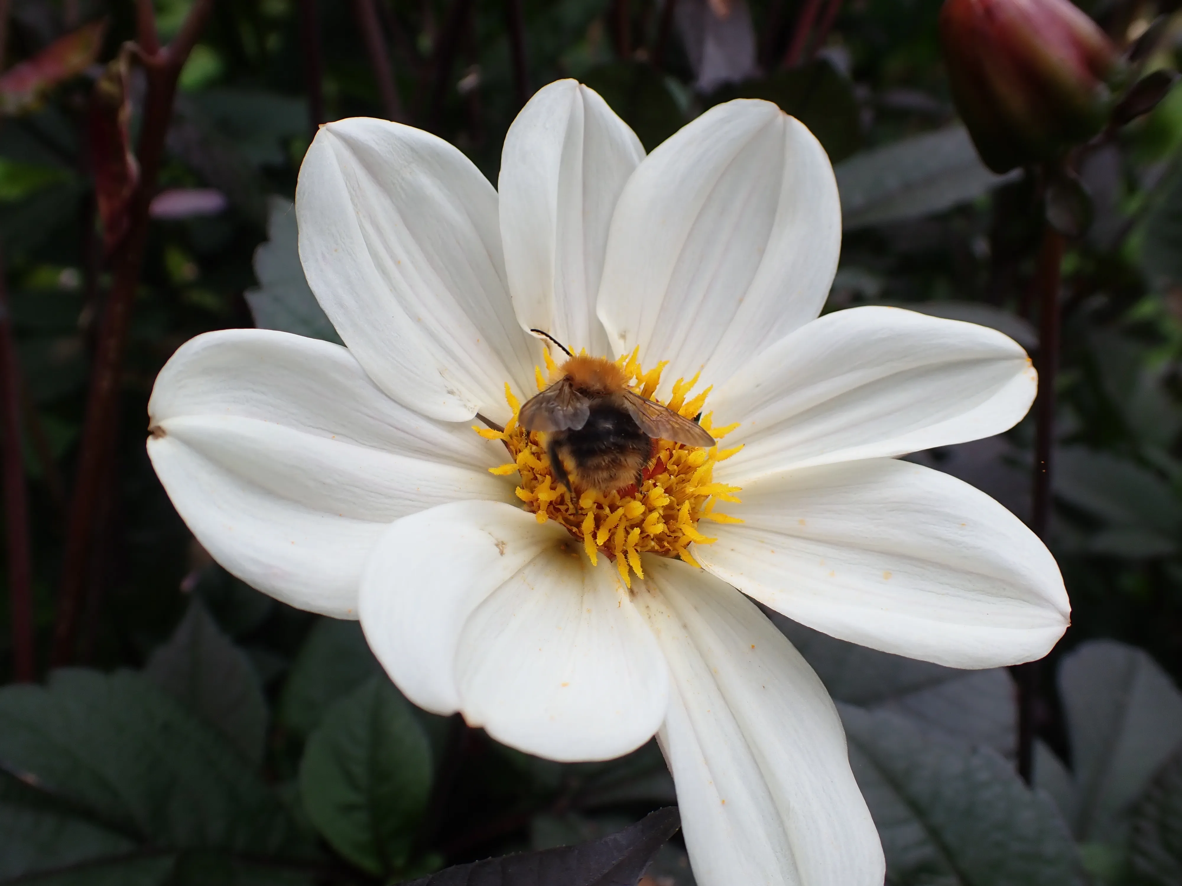 2025-10-10_14.50.17_216.JPG (4000x3000)