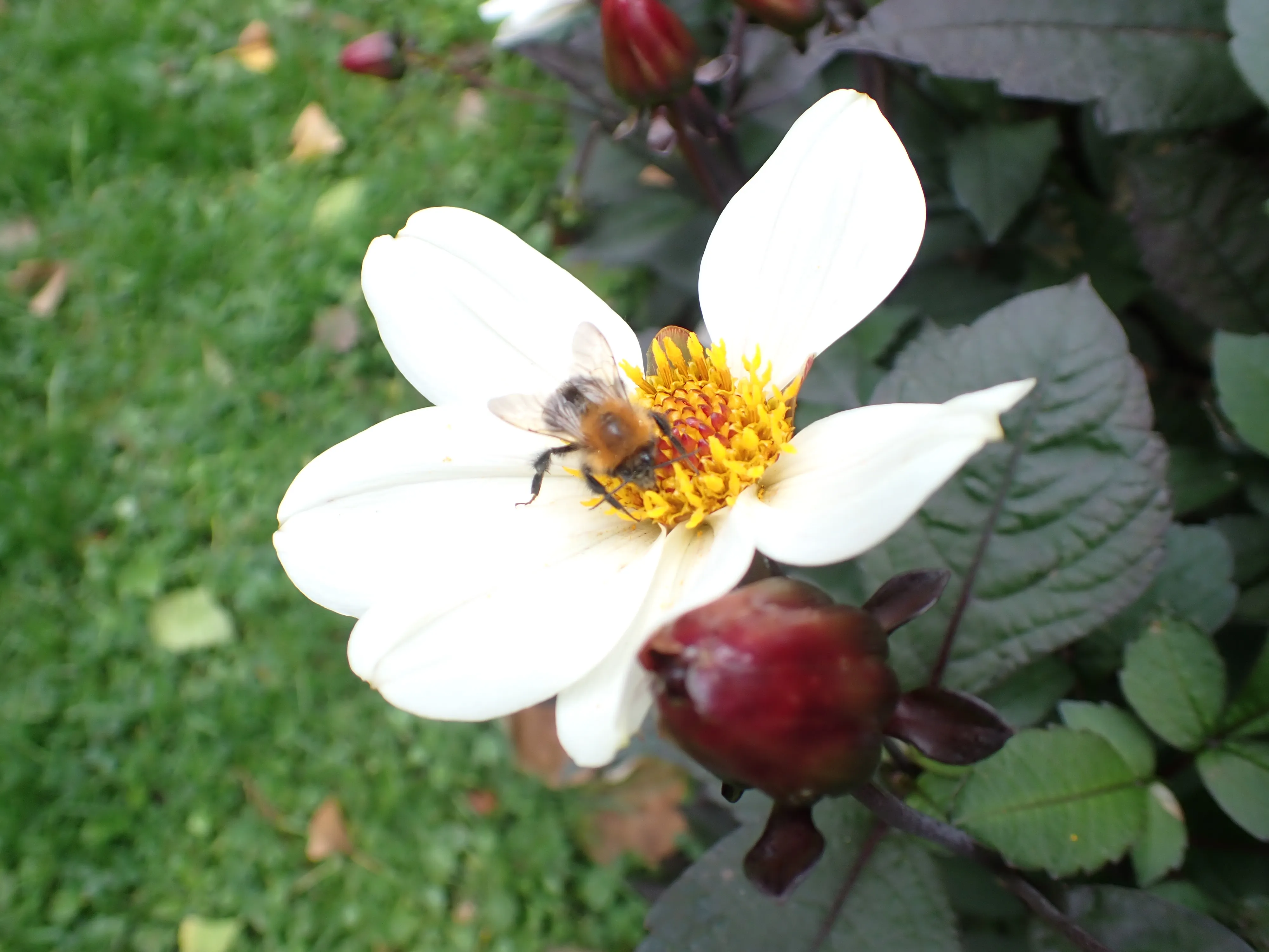 2025-10-10_14.52.49_221.JPG (4000x3000)