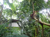 Photo from log "Hortus Botanicus Leiden (27 photos)"