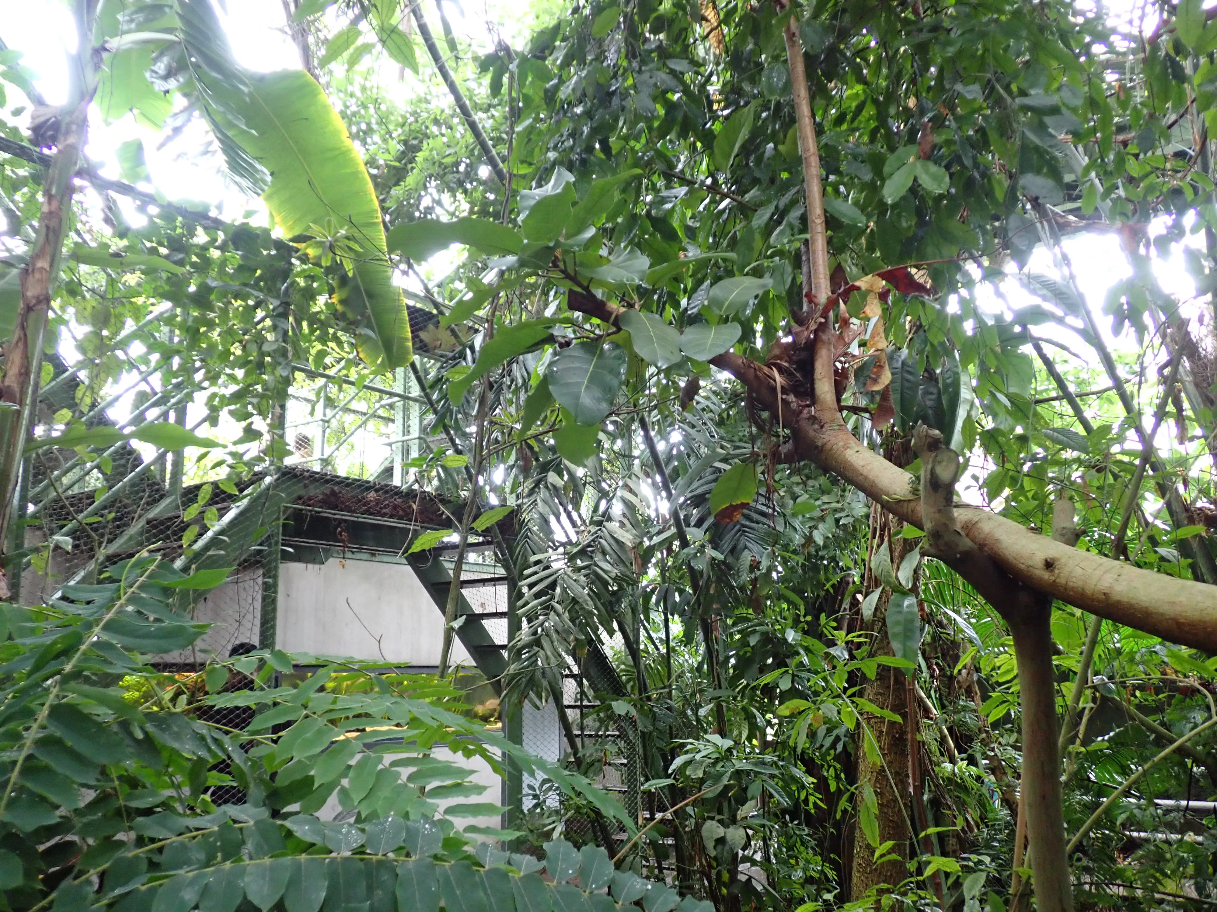 2025-10-10_14.53.55_222.JPG (4000x3000)