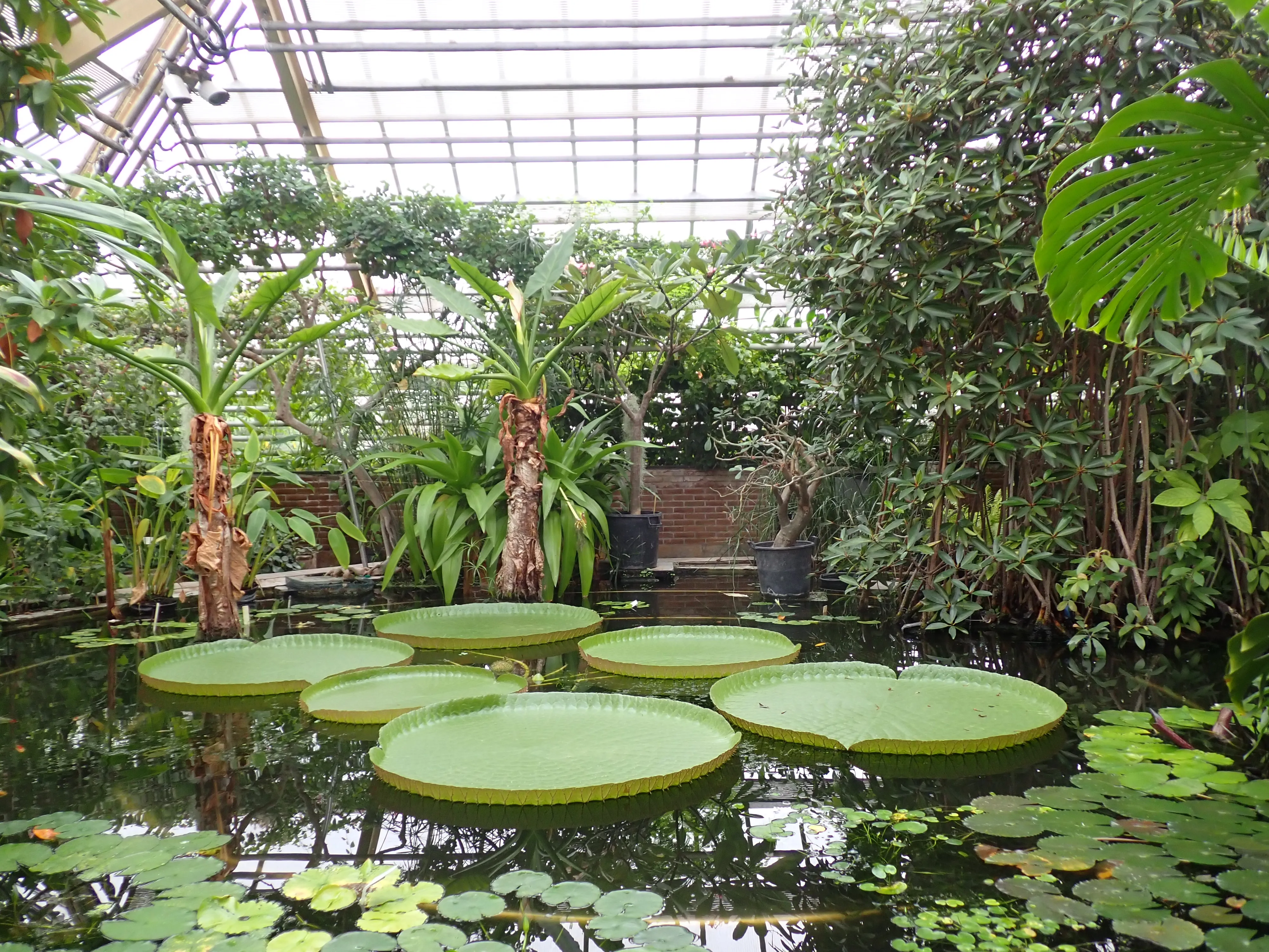 2025-10-10_14.56.22_231.JPG (4000x3000)