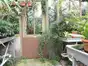 Hortus Botanicus Leiden (27 photos)