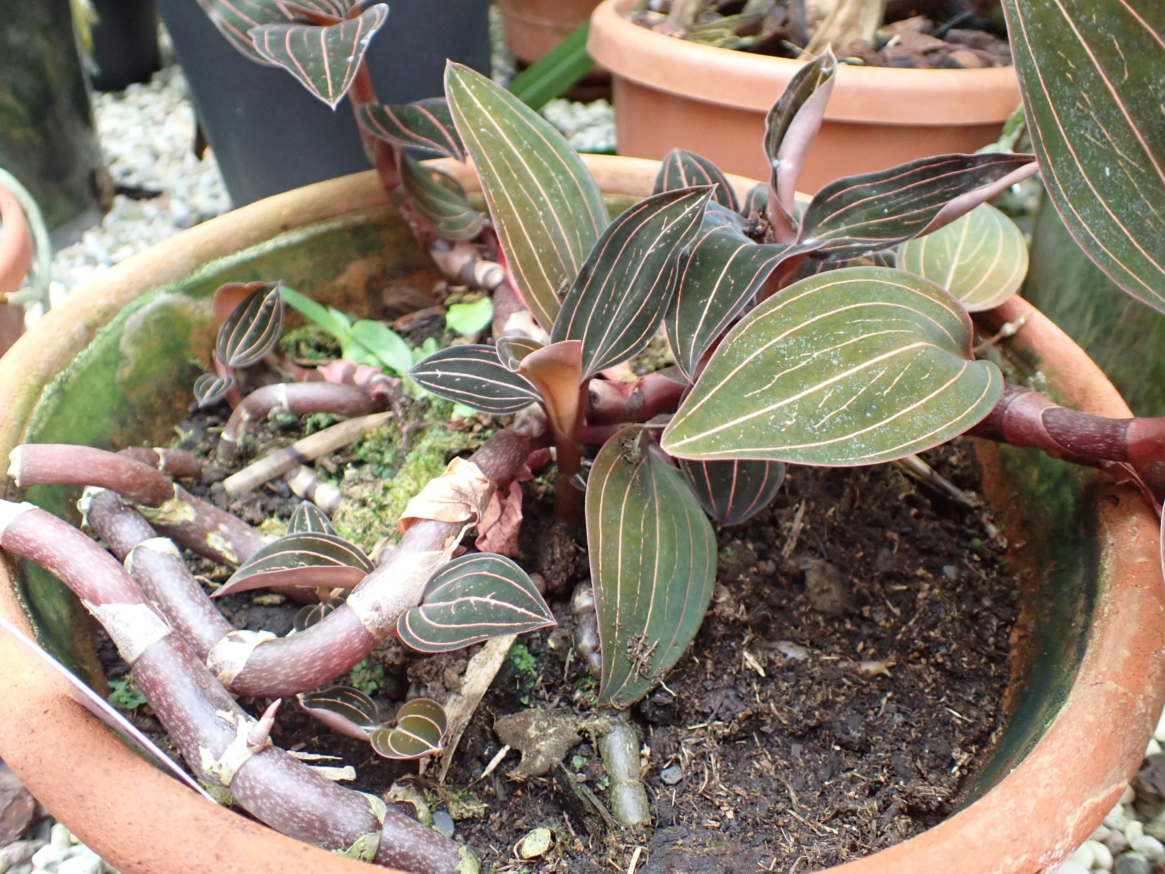 2025-10-10_15.02.38_243.JPG (4000x3000)