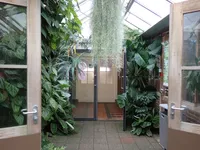 Photo from log "Hortus Botanicus Leiden (27 photos)"