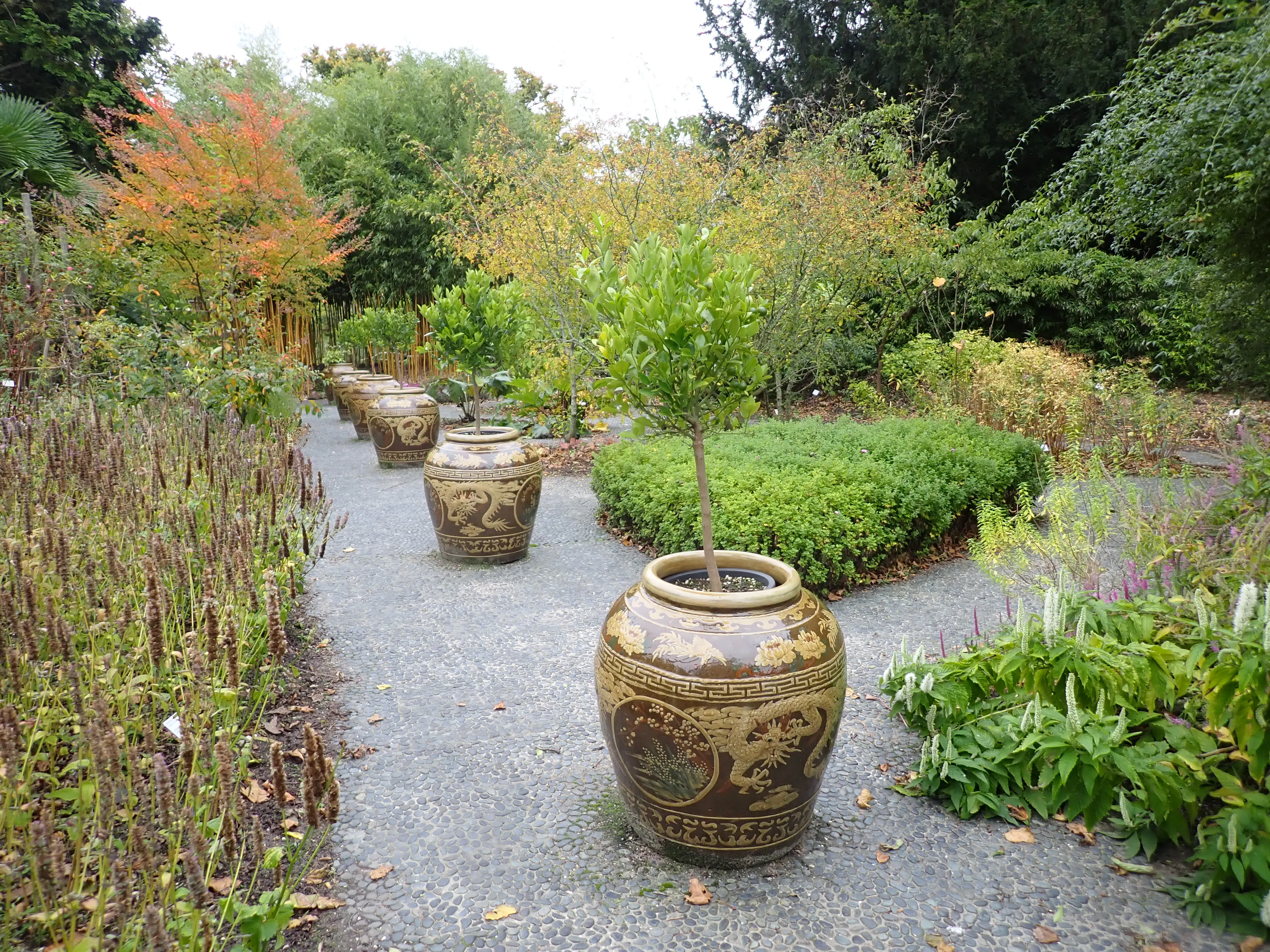 2025-10-10_15.18.09_257.JPG (4000x3000)