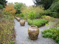 Photo from log "Hortus Botanicus Leiden (27 photos)"