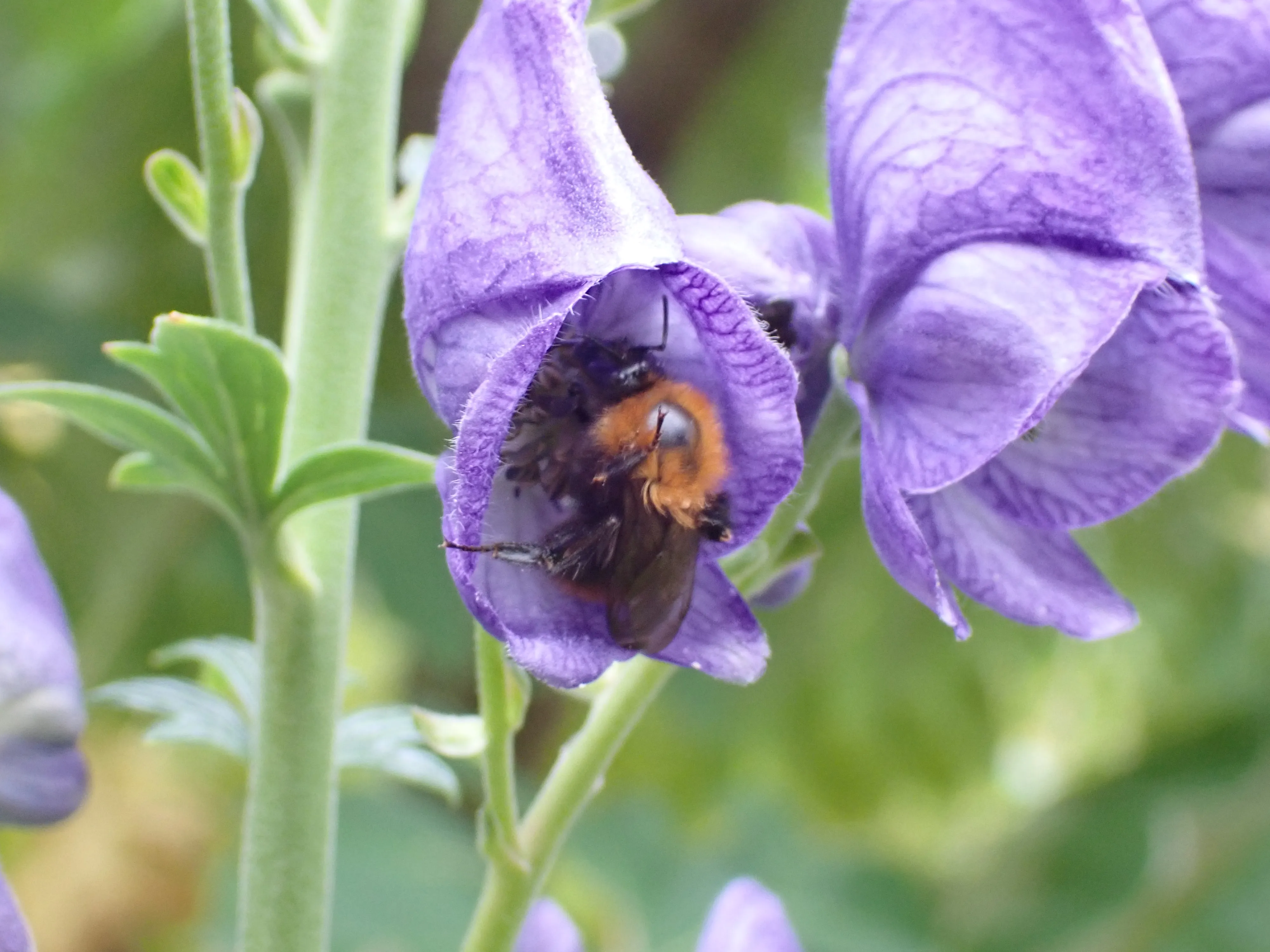 2025-10-10_15.20.27_262.JPG (4000x3000)