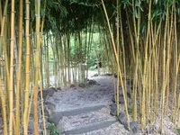 Photo from log "Hortus Botanicus Leiden (27 photos)"