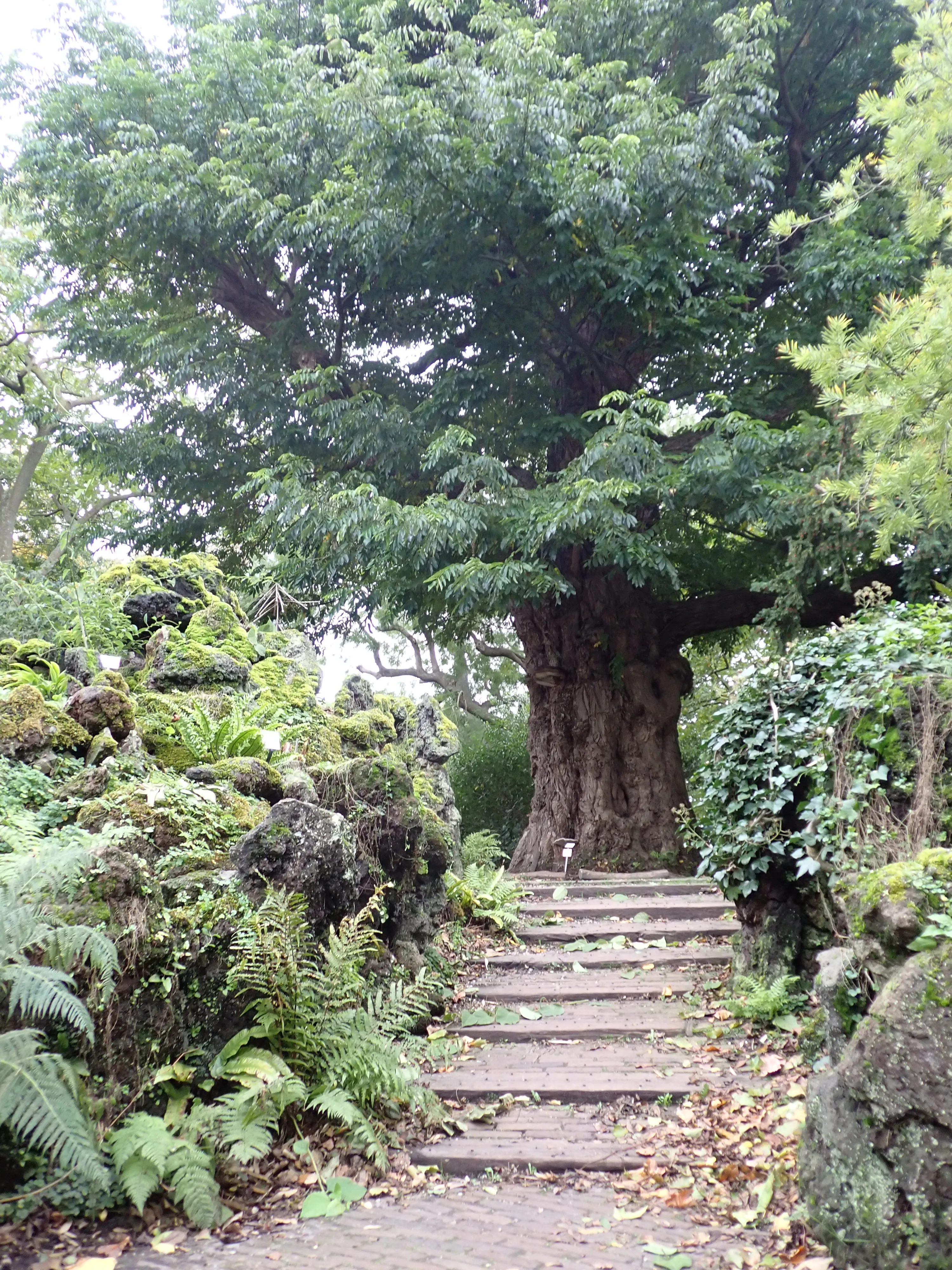 2025-10-10_15.24.40_268.JPG (4000x3000)