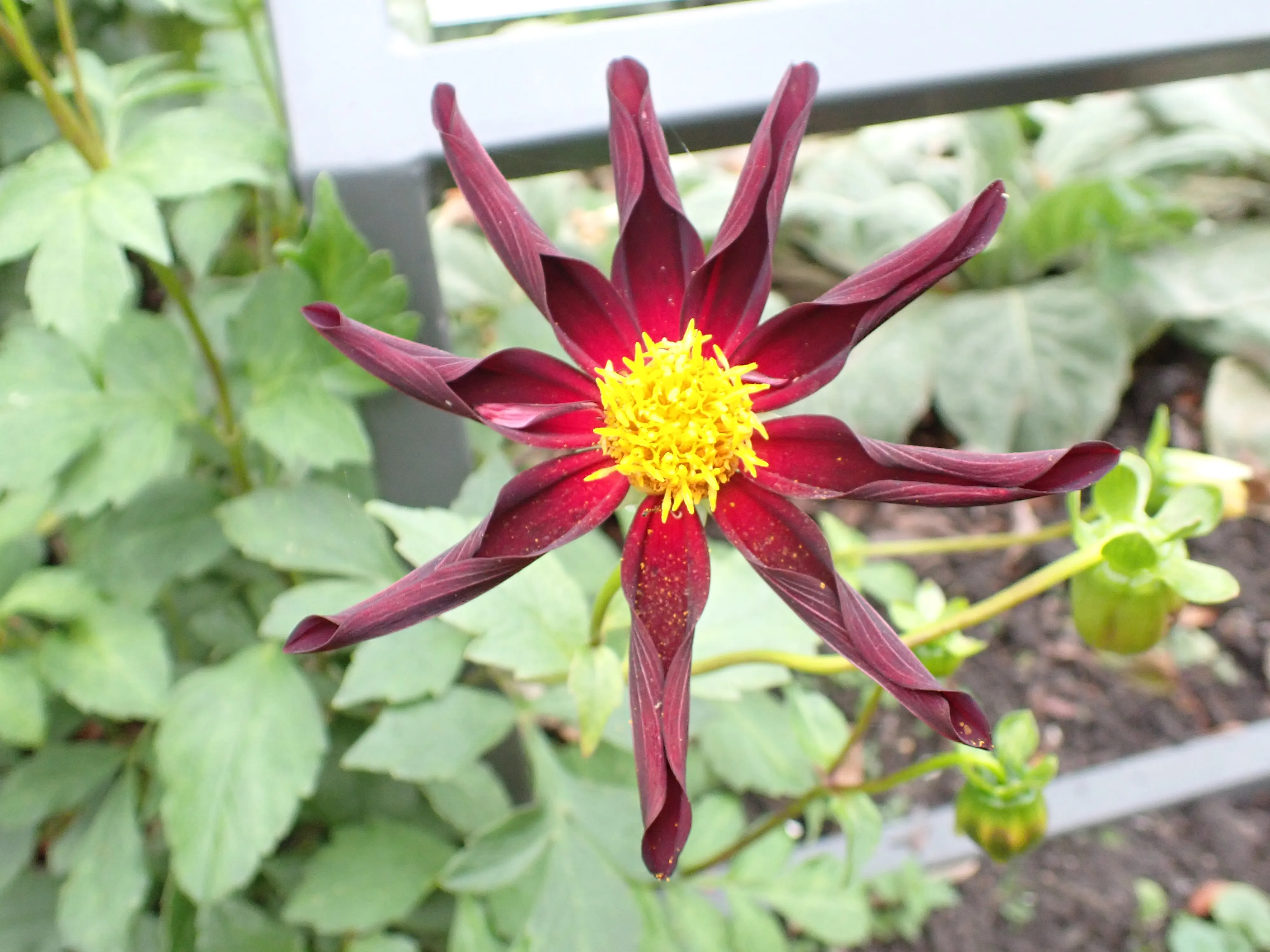 2025-10-10_15.48.37_300.JPG (4000x3000)