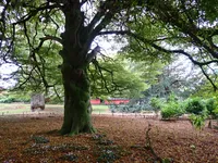 Photo from log "Hortus Botanicus Leiden (27 photos)"