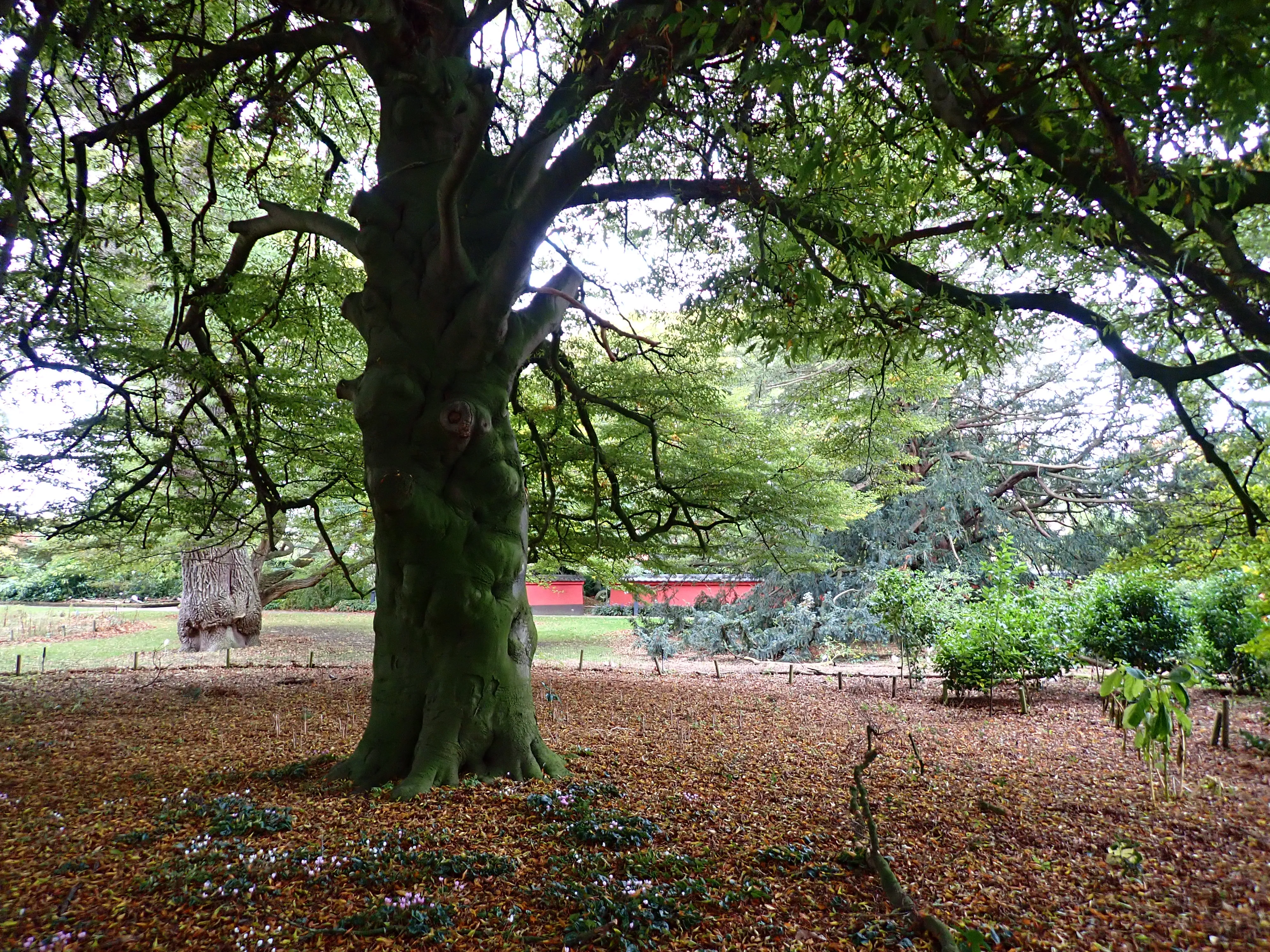 2025-10-10_16.04.22_317.JPG (4000x3000)