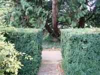 Photo from log "Hortus Botanicus Leiden (27 photos)"