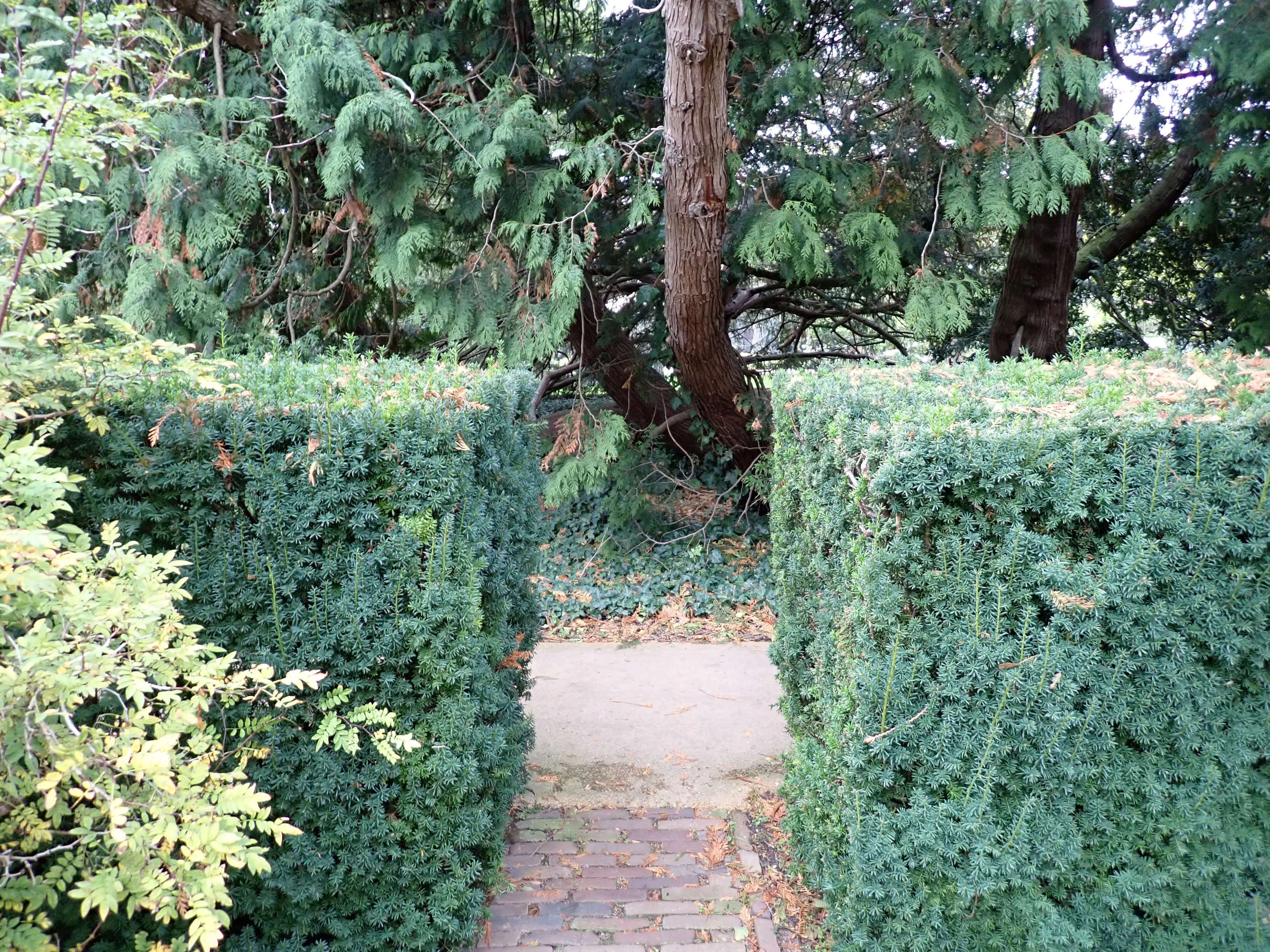 2025-10-10_16.08.52_319.JPG (4000x3000)