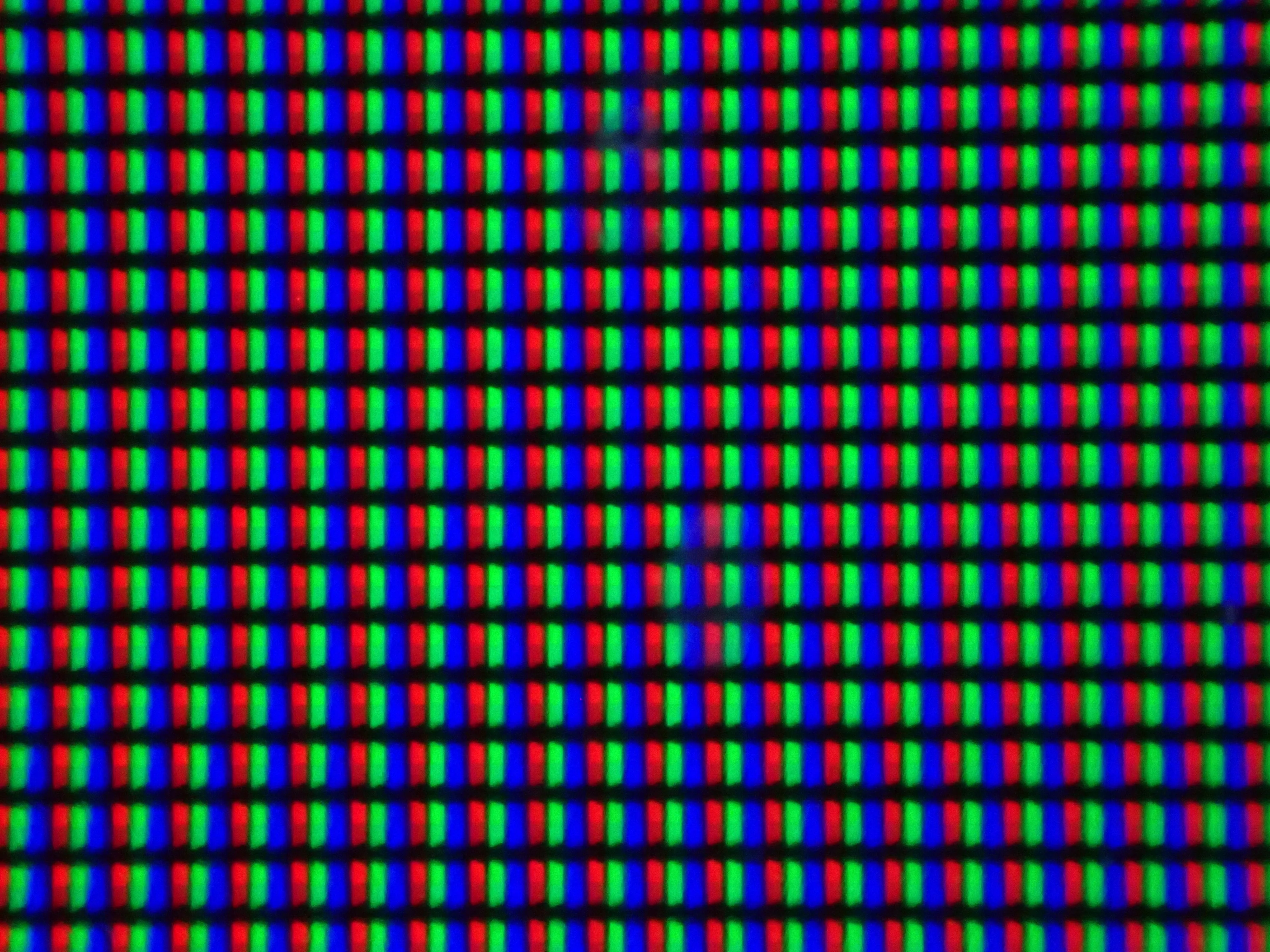 2025-10-15_01.33.56_3.JPG (4000x3000)