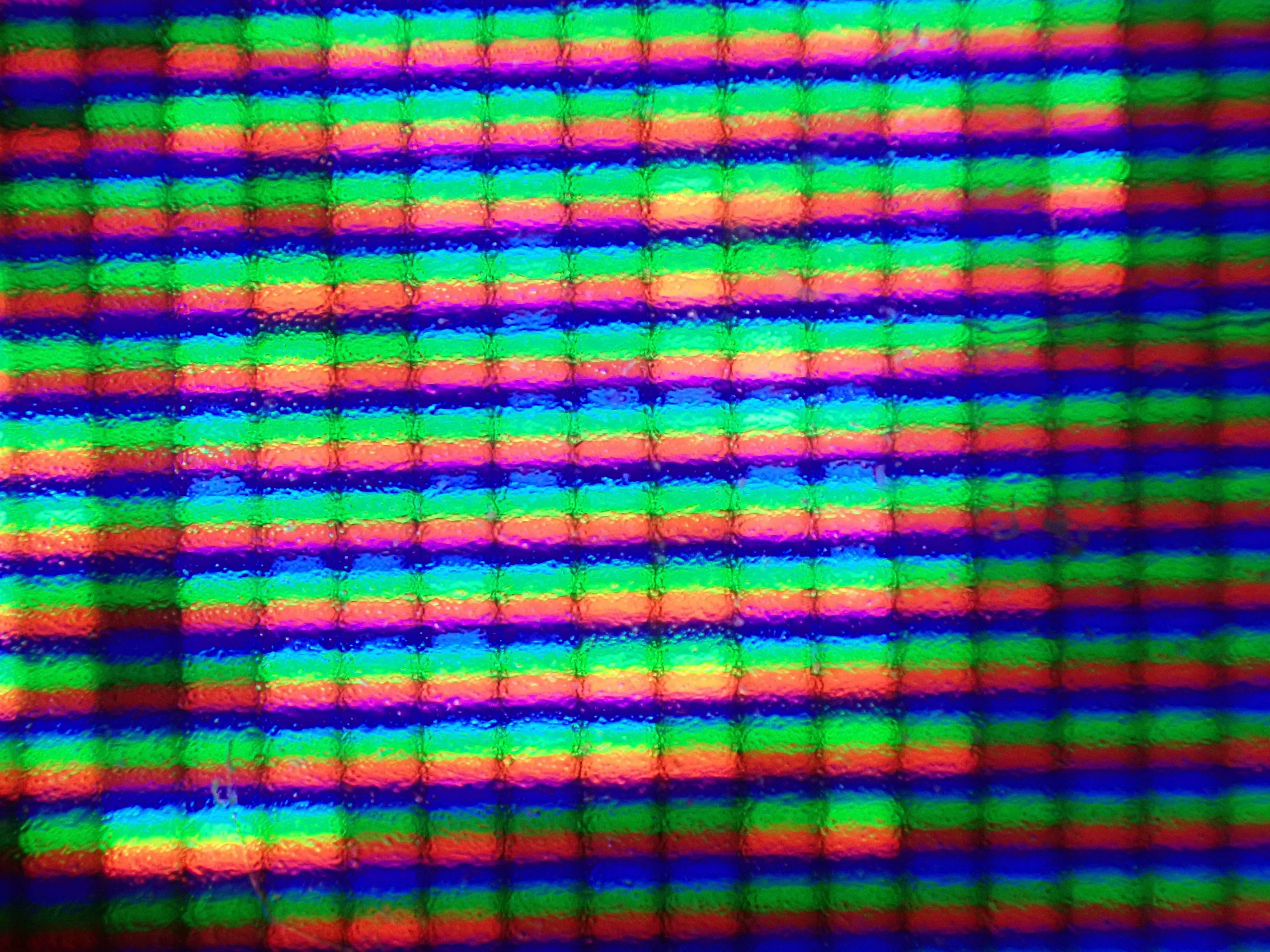 2025-10-15_01.34.24_4.JPG (4000x3000)