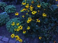 Photo from log "2025-11-18 (10 photos)"