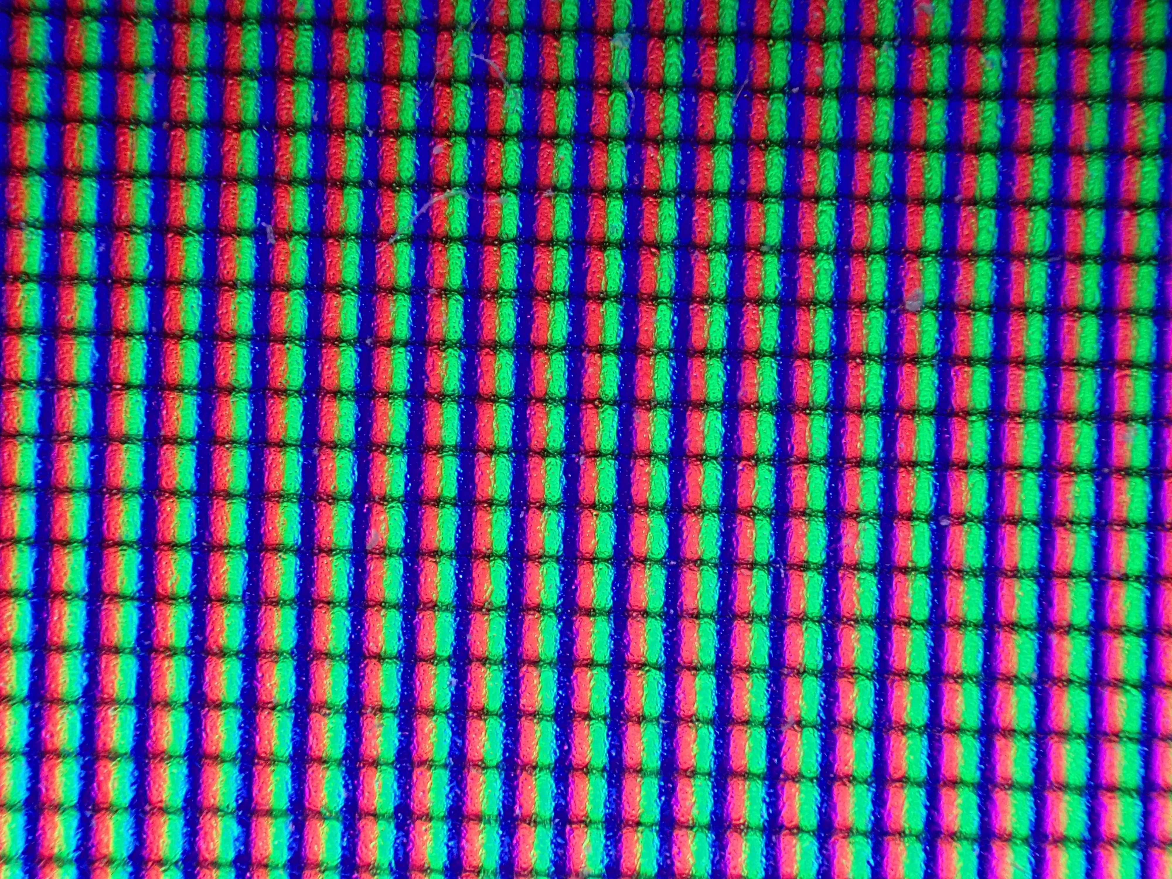 2025-10-16_21.35.00_1002.JPG (4000x3000)