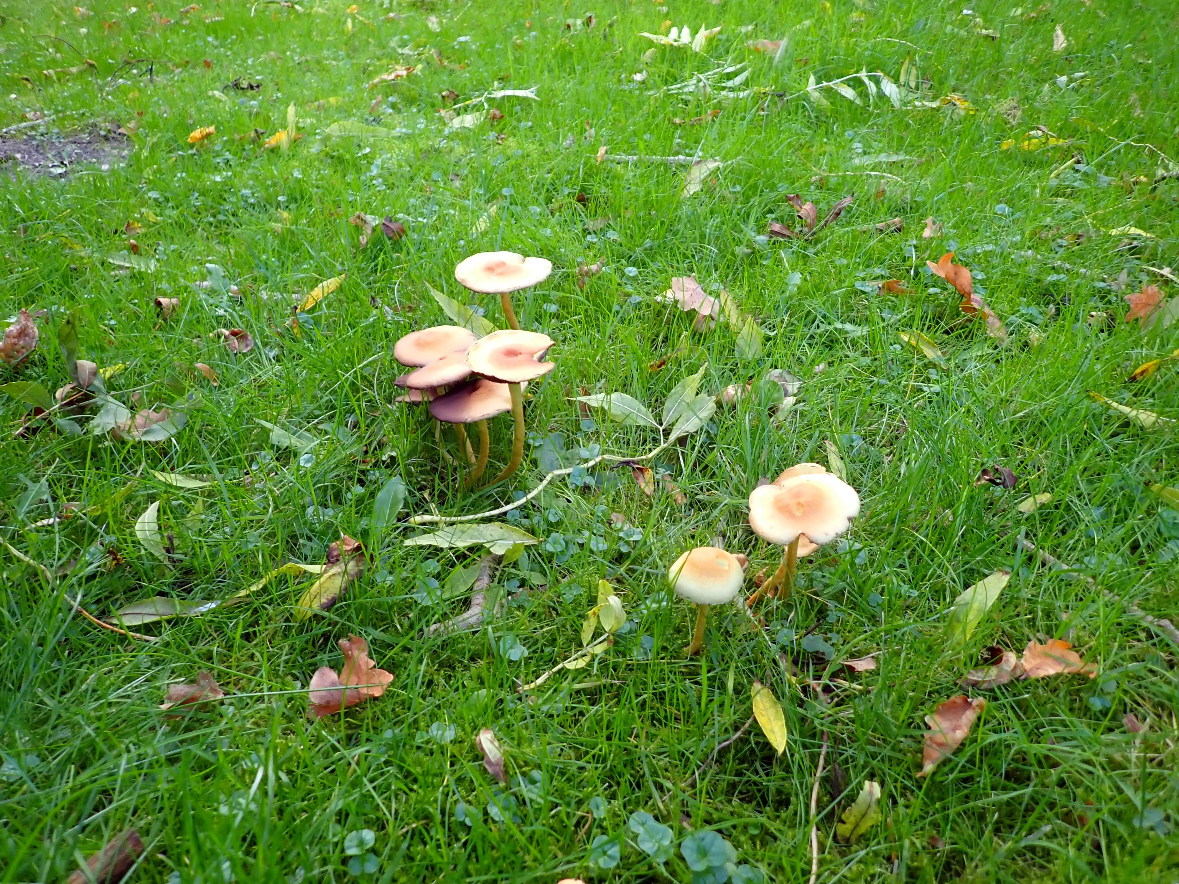 2025-10-19_15.58.38_1014.JPG (4000x3000)