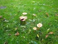 Photo from log "2025-11-18 (10 photos)"