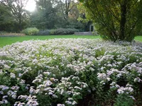 Photo from log "2025-11-18 (10 photos)"