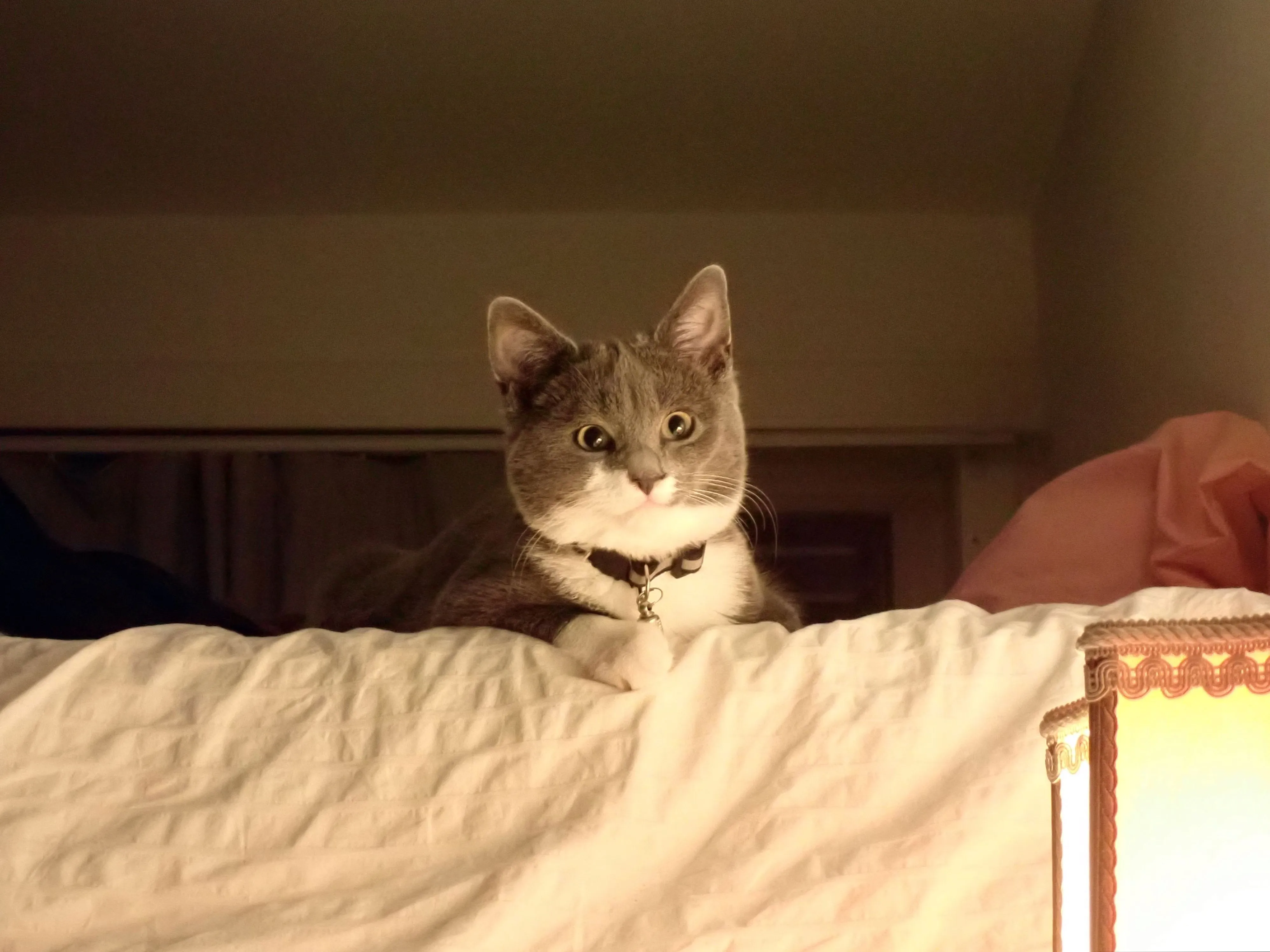 2025-11-20_00.14.14_1134.JPG (3991x2993)