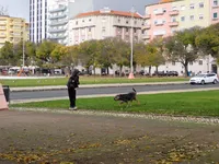 Photo from log "Lisbon (12 photos)"