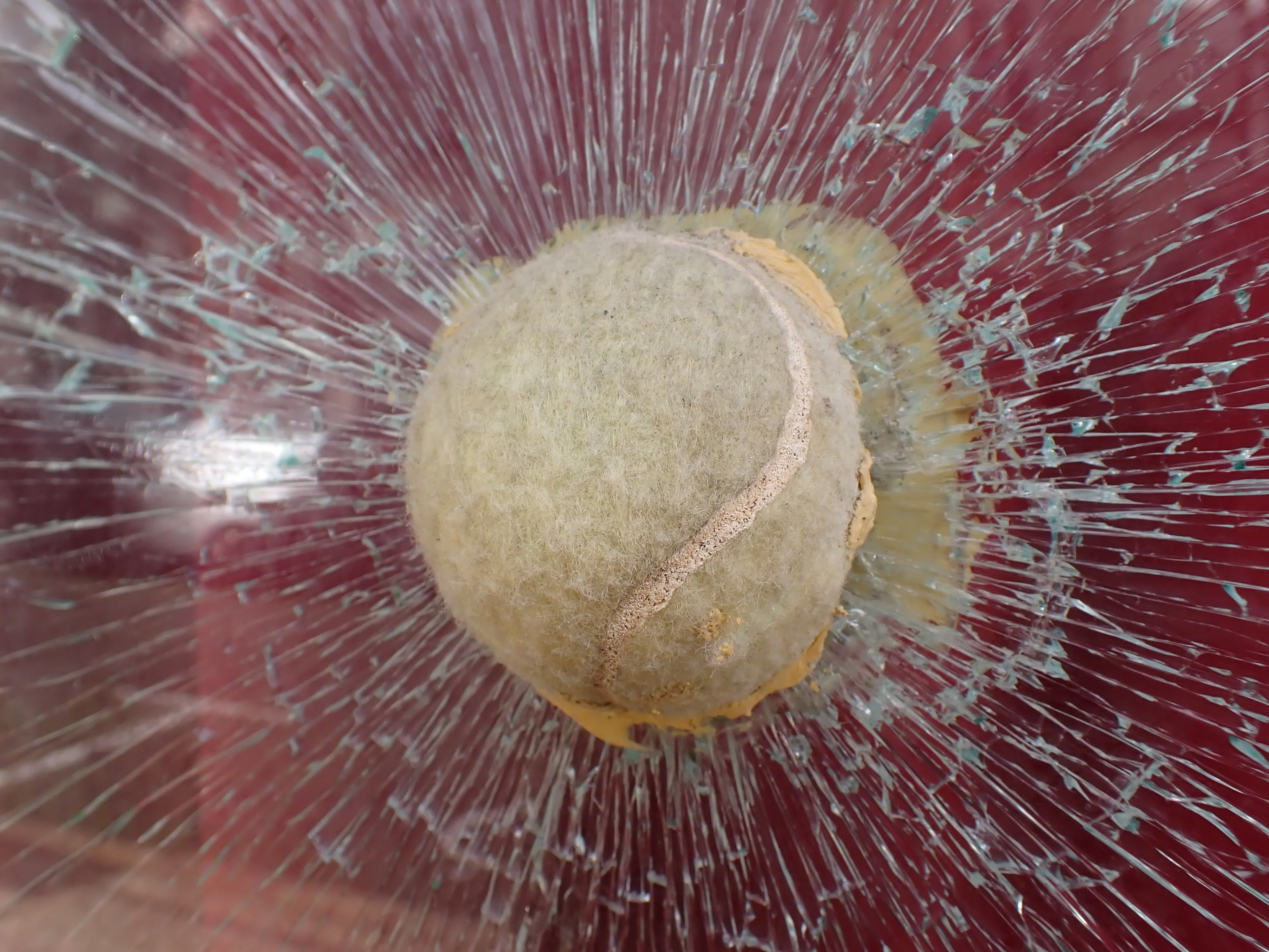 2025-12-05_13.28.05_78.JPG (4000x3000)