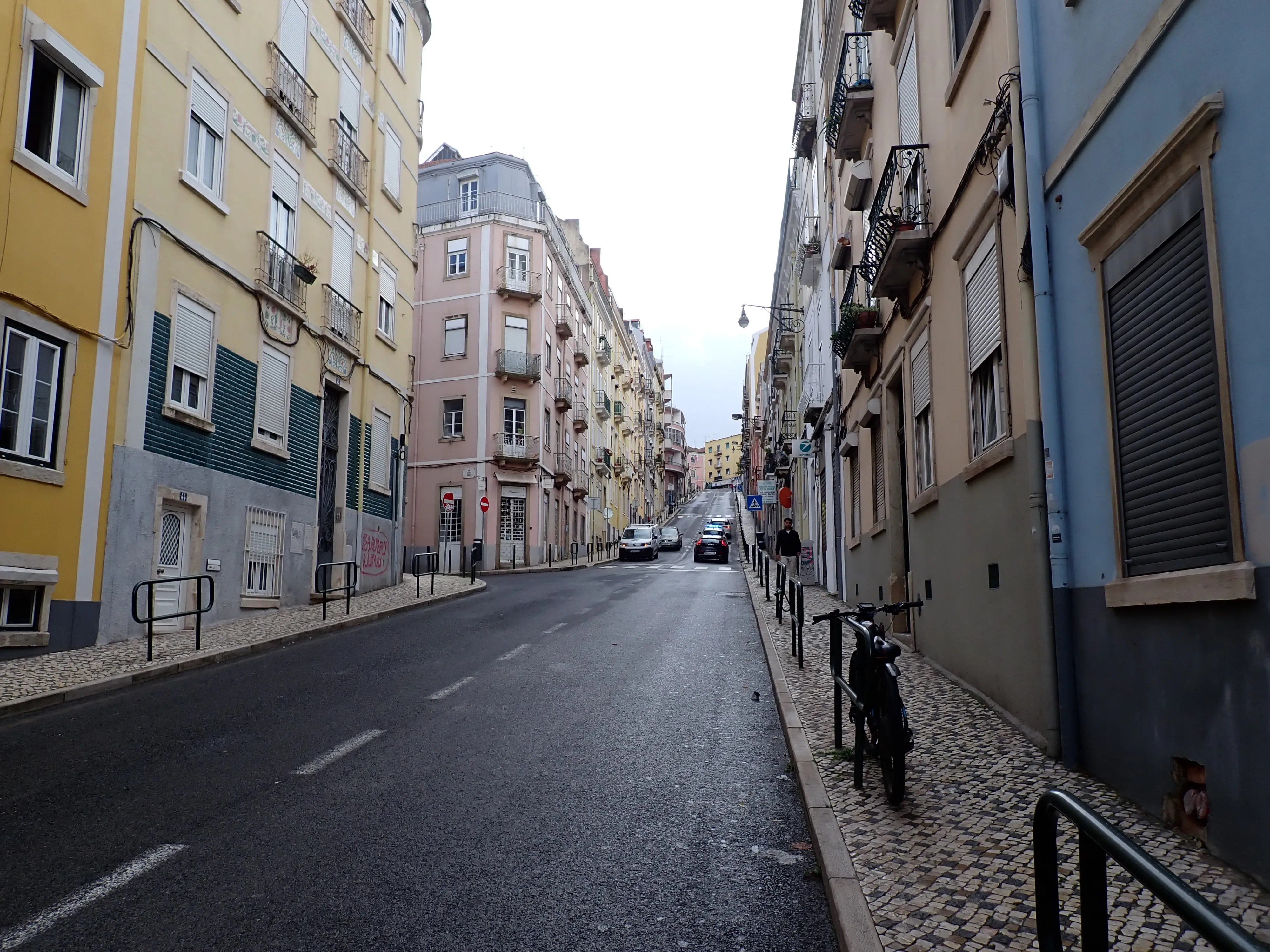 2025-12-05_15.00.40_83.JPG (4000x3000)