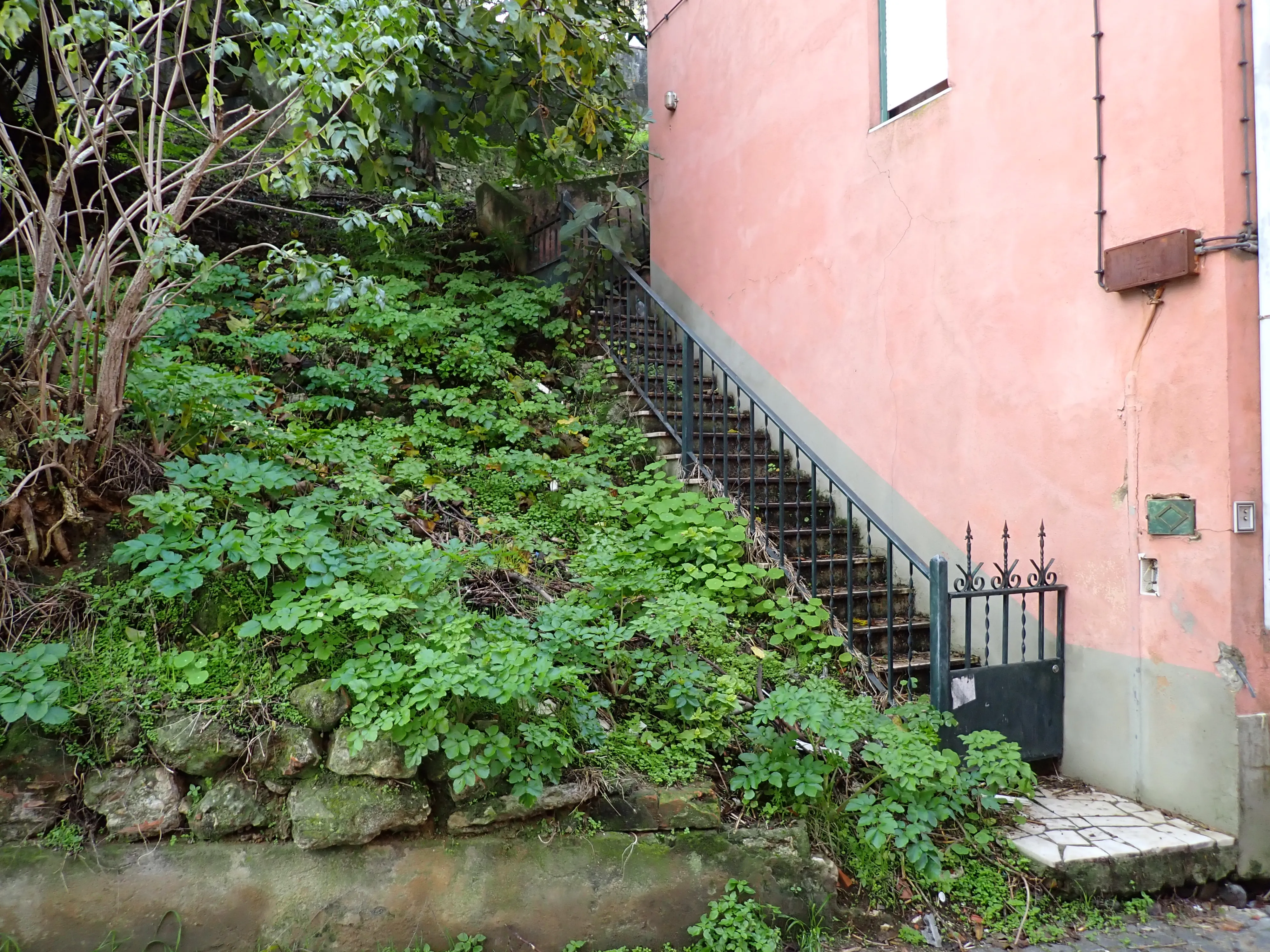 2025-12-05_15.04.50_86.JPG (4000x3000)