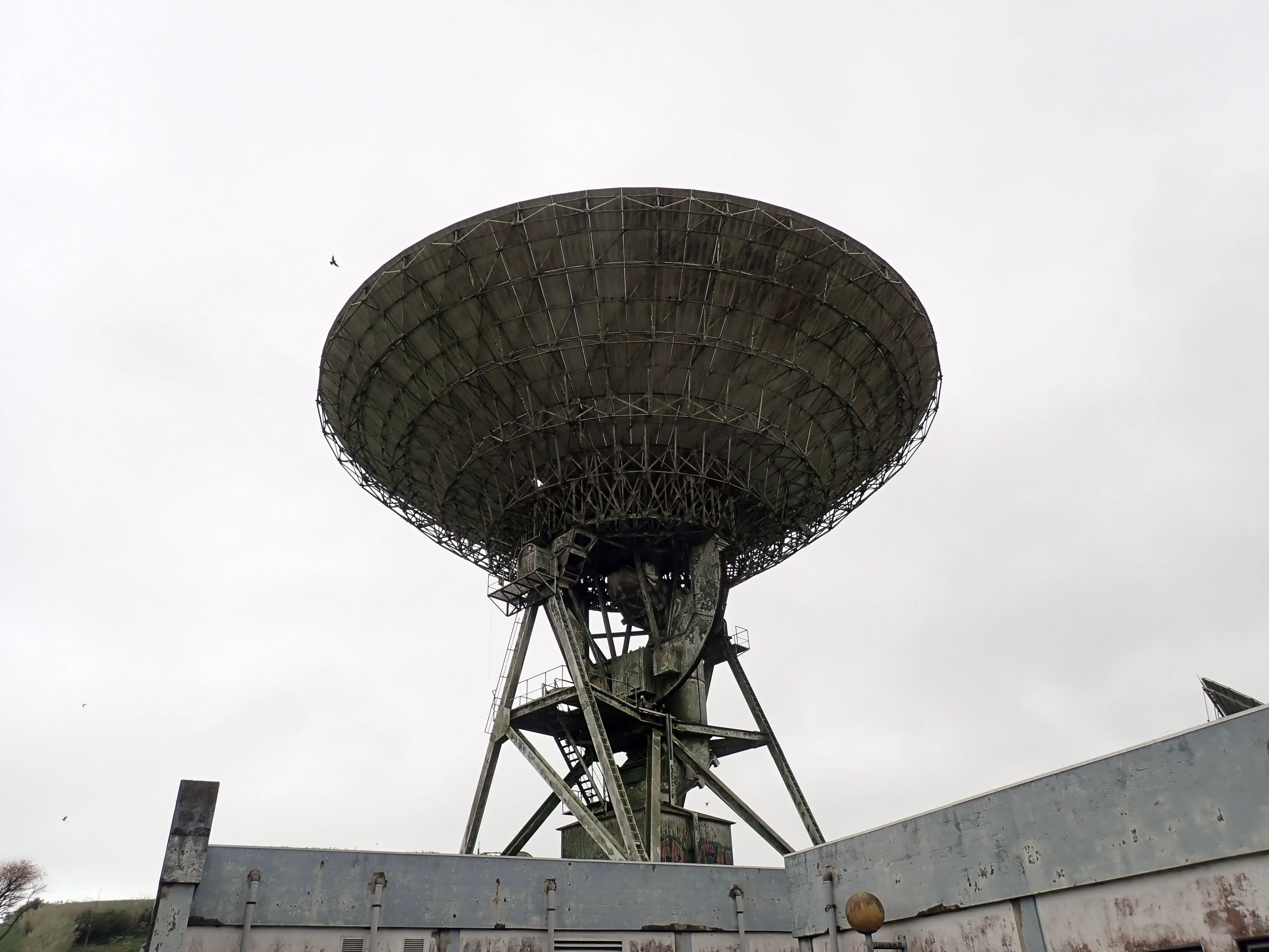 2025-12-06_16.33.55_113.JPG (4000x3000)