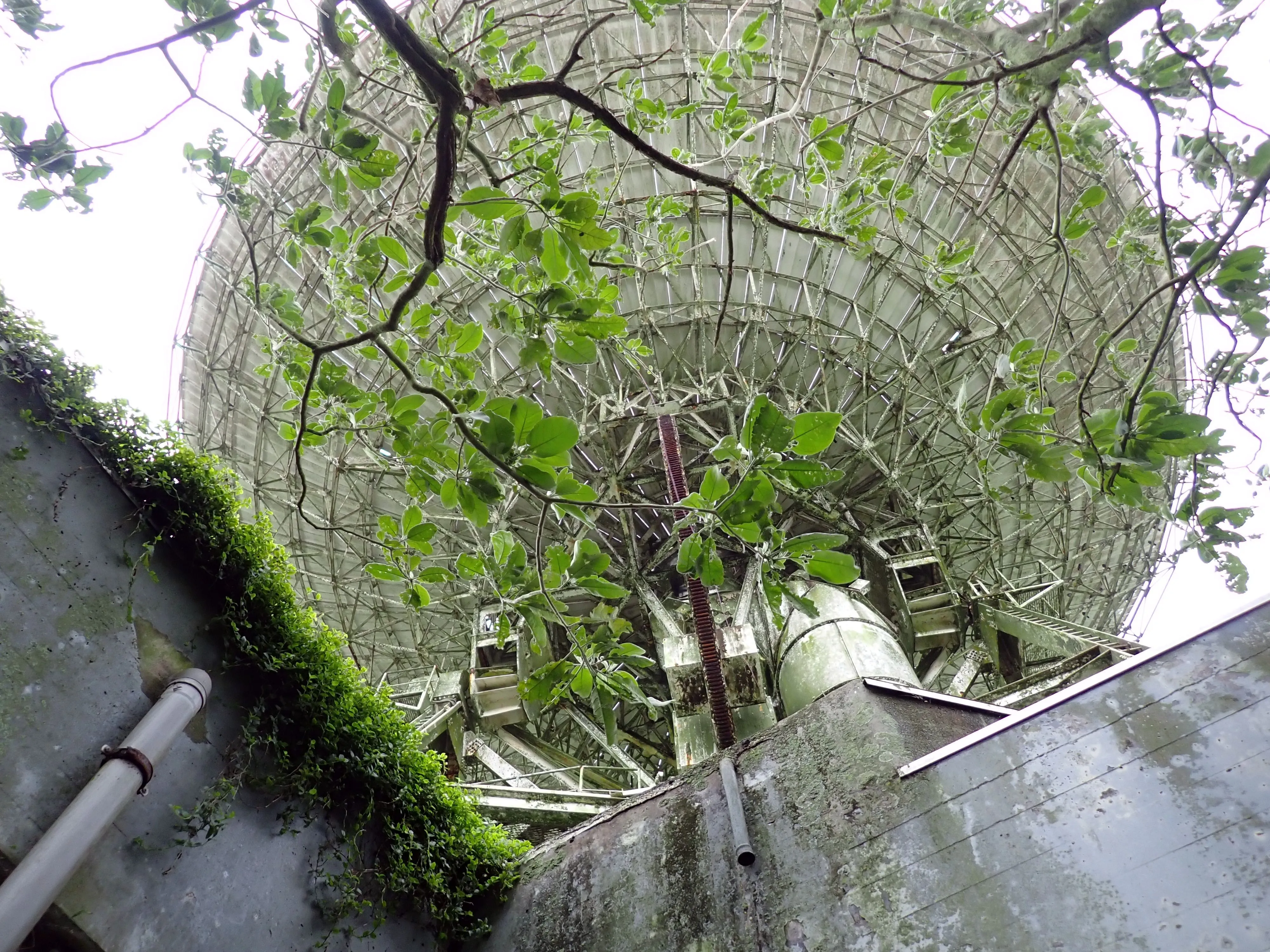 2025-12-08_15.47.44_157.JPG (4000x3000)