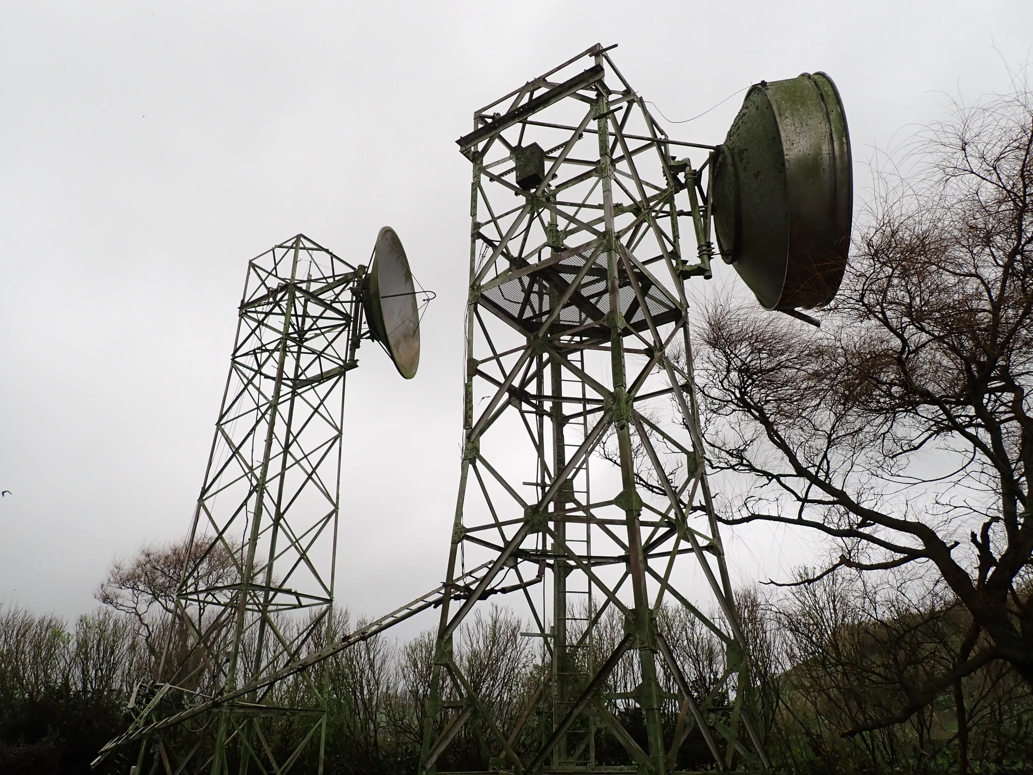 2025-12-08_15.48.36_159.JPG (4000x3000)