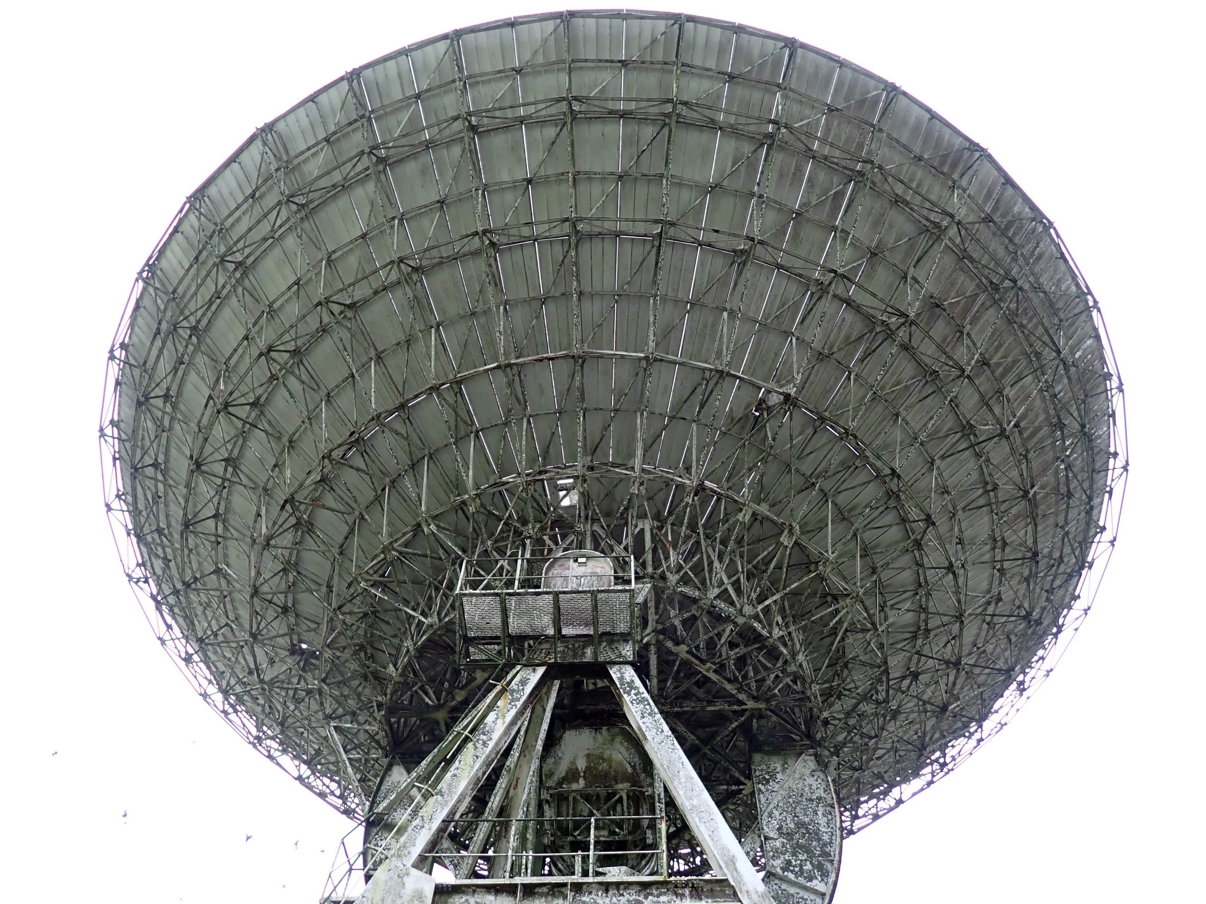 2025-12-08_15.50.03_162.JPG (4000x3000)