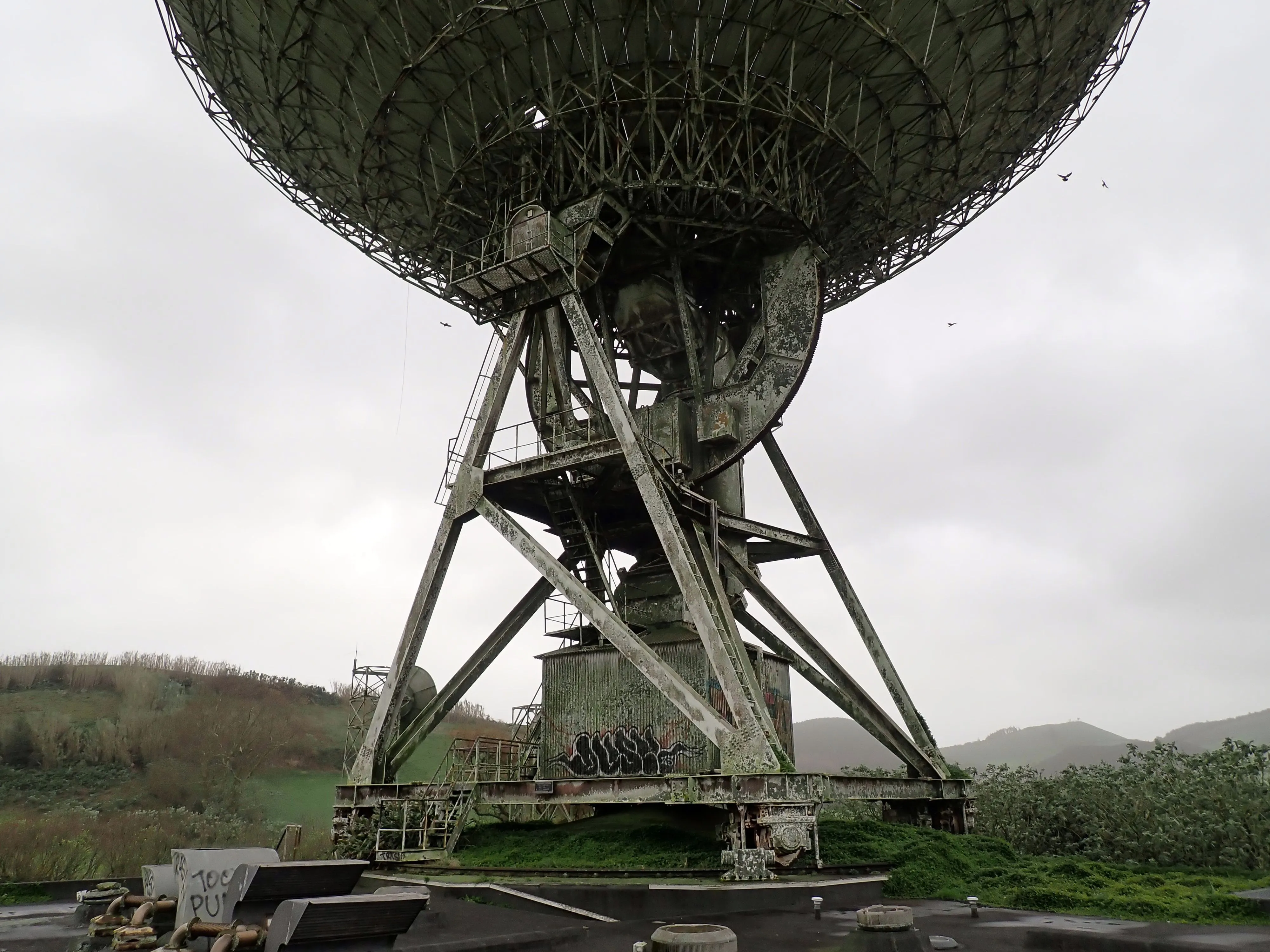 2025-12-08_15.50.21_163.JPG (4000x3000)