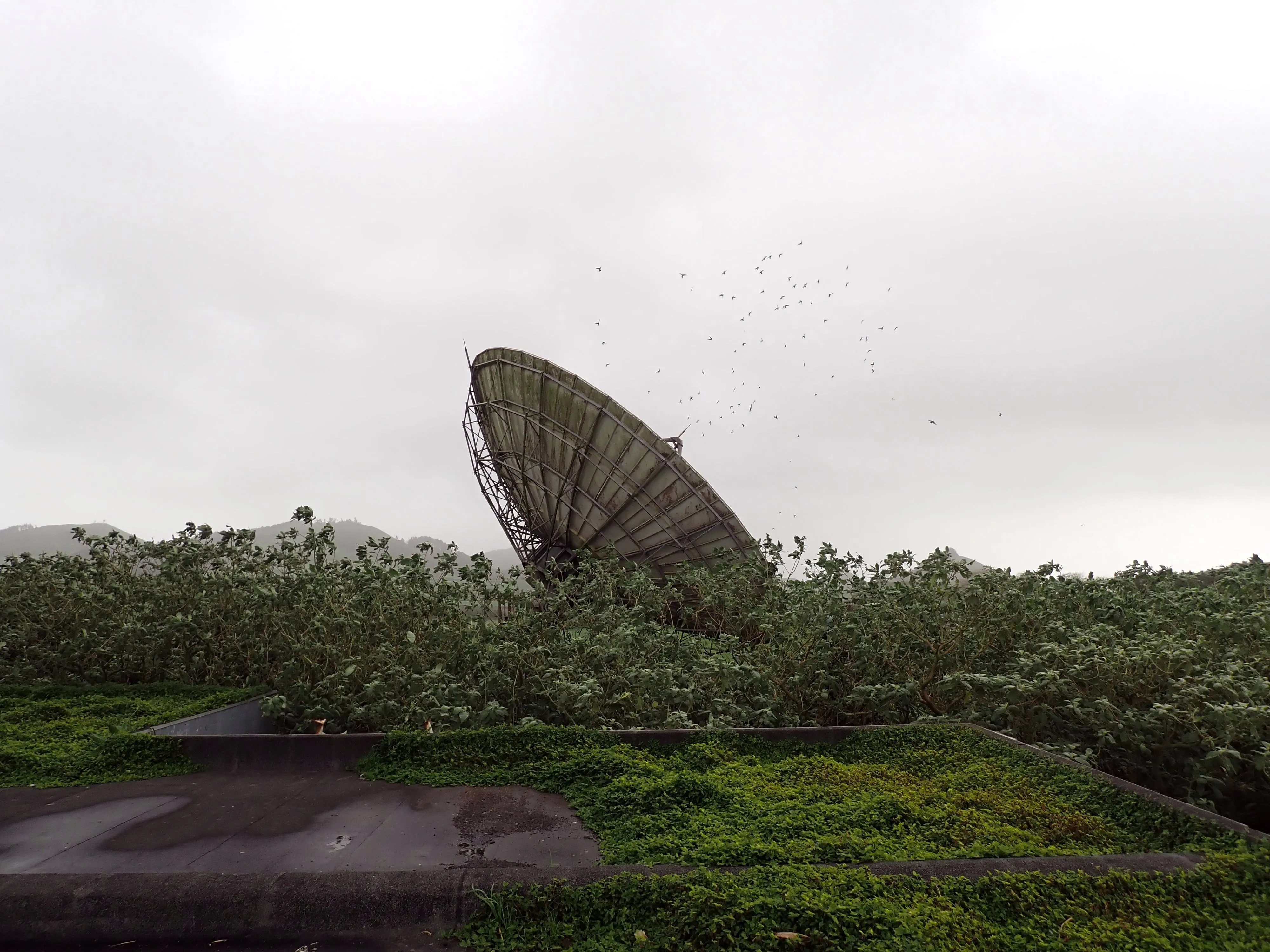 2025-12-08_15.50.39_165.JPG (4000x3000)