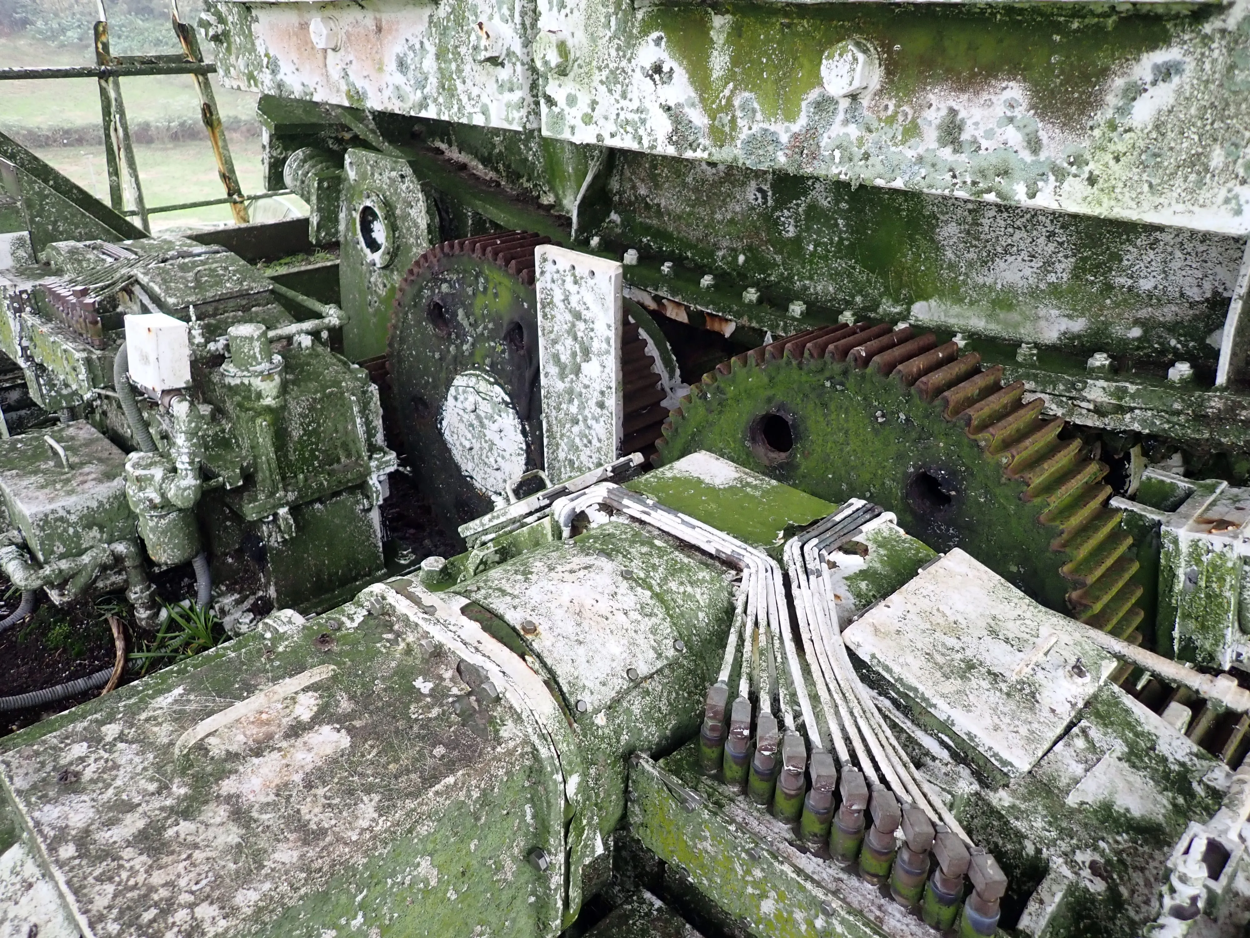 2025-12-08_15.53.06_170.JPG (4000x3000)