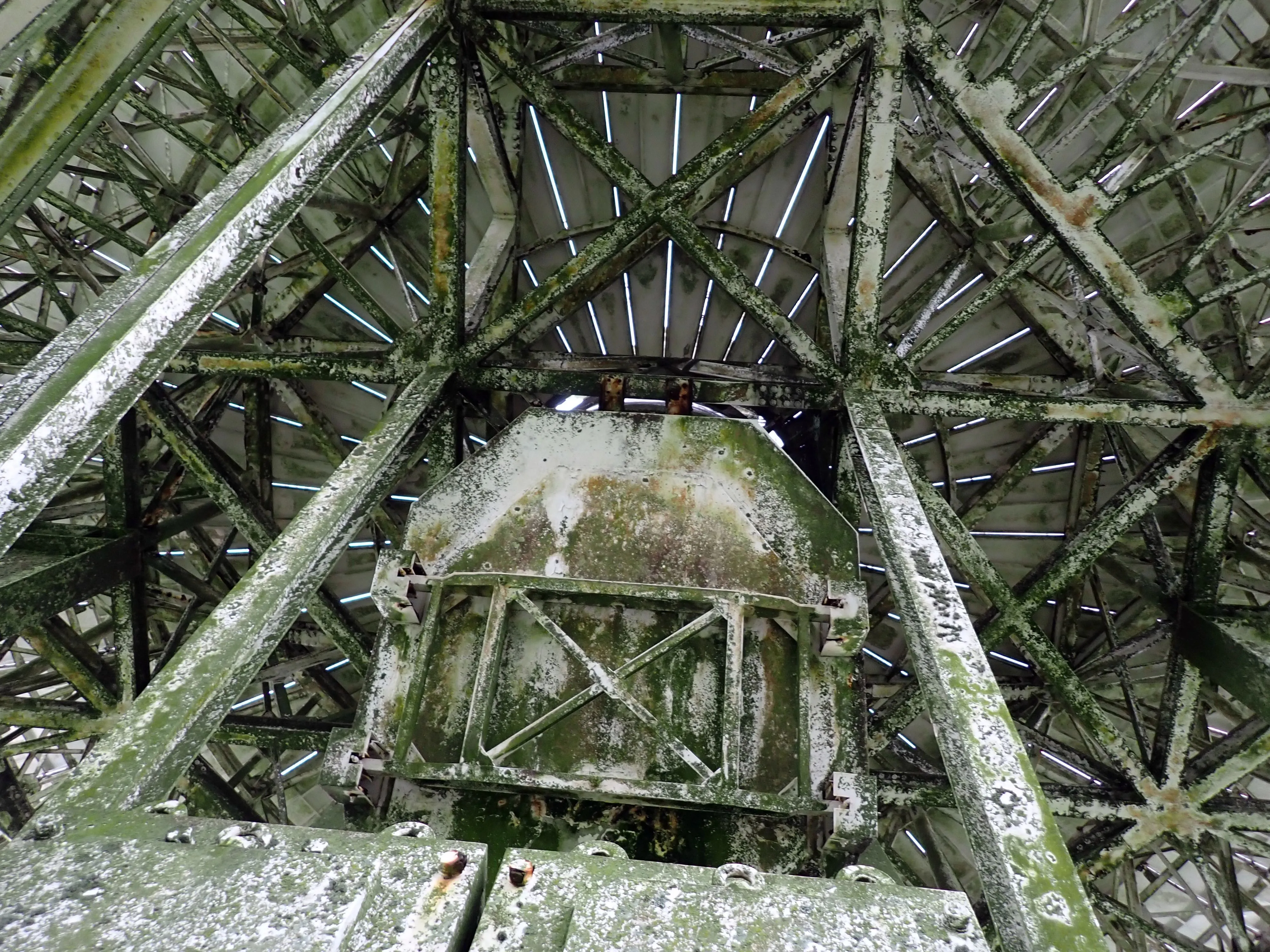 2025-12-08_15.53.15_171.JPG (4000x3000)