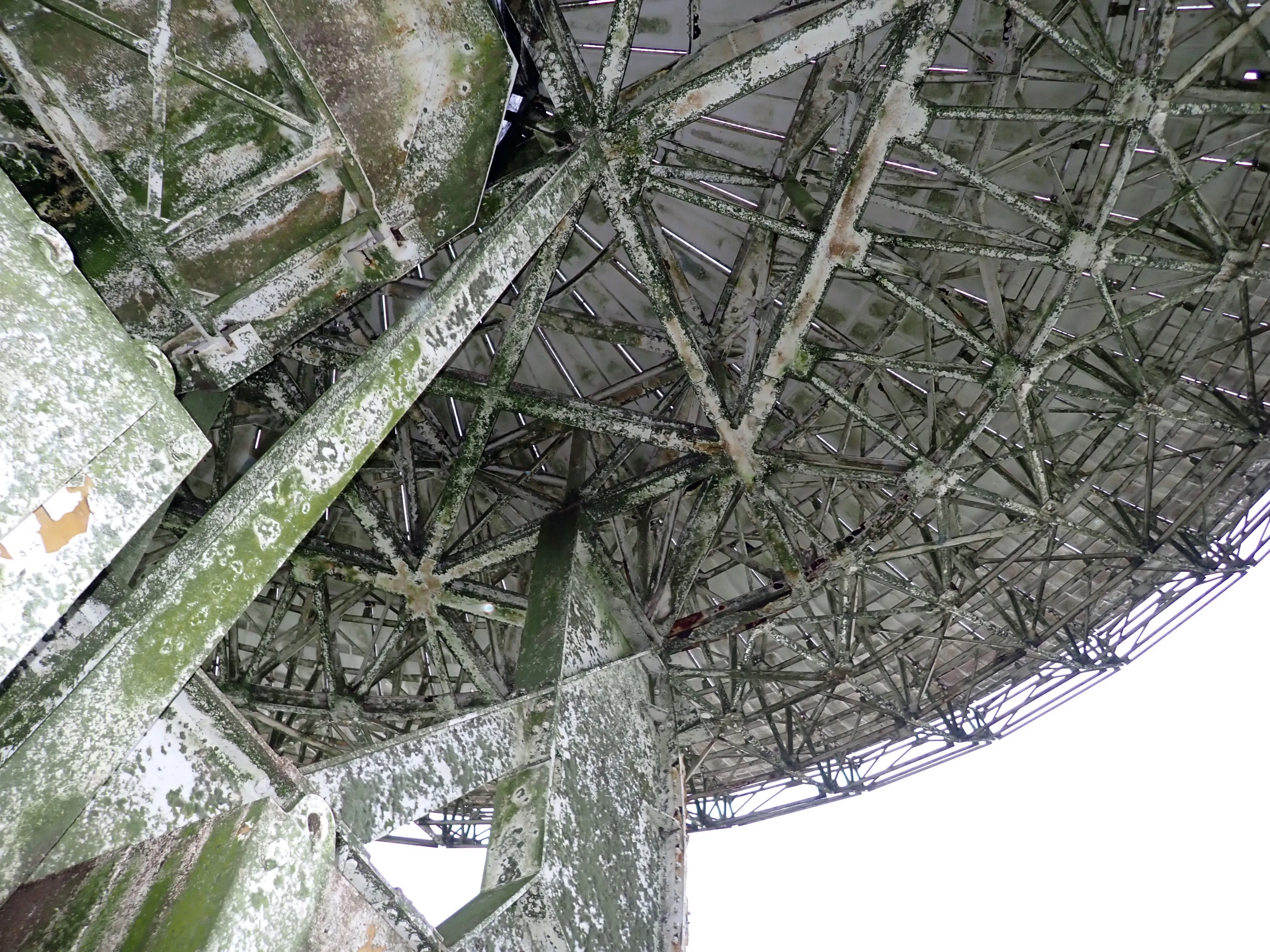 2025-12-08_15.53.21_173.JPG (4000x3000)